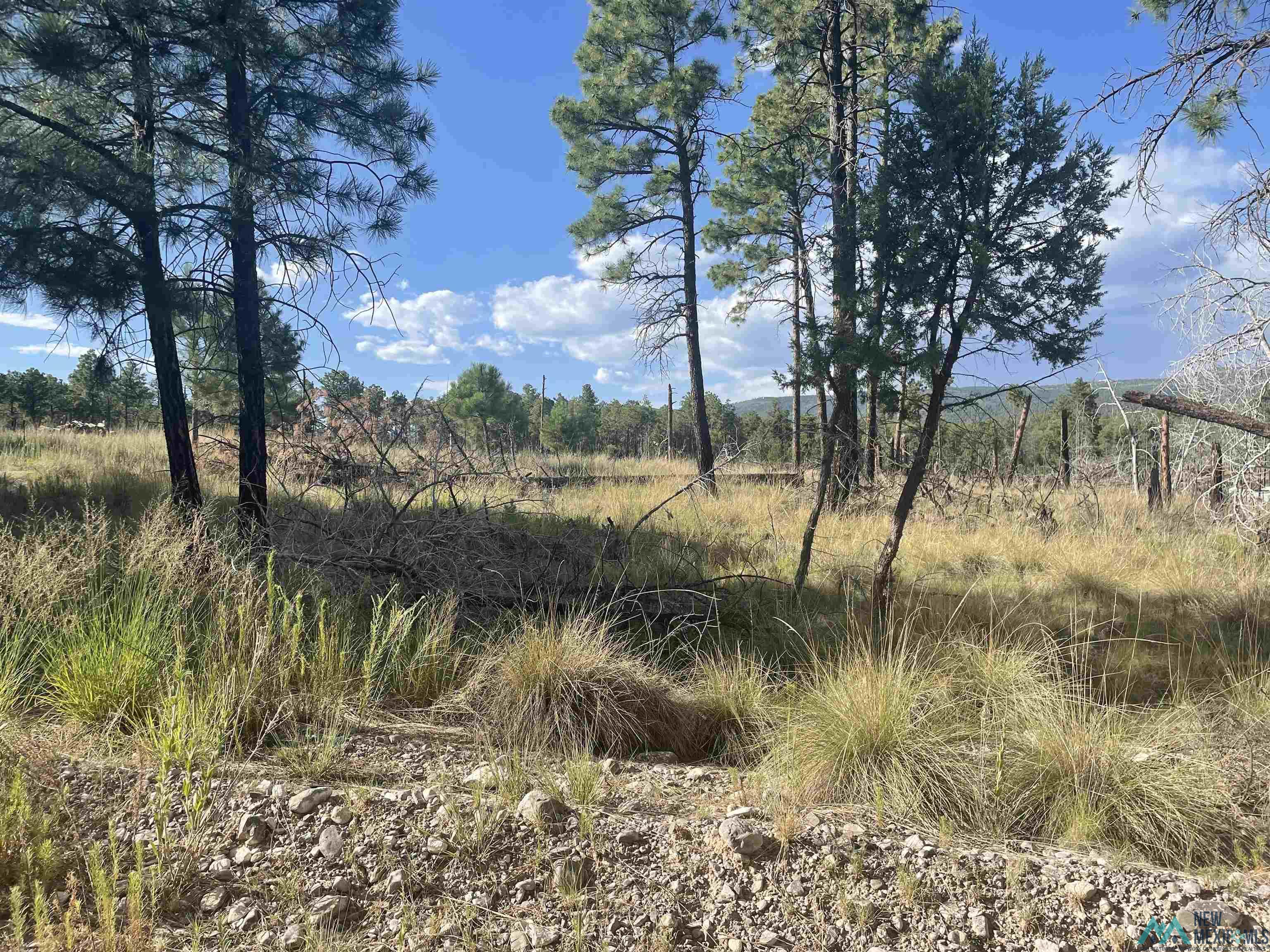 27 Balkans Drive, Timberon, New Mexico image 1