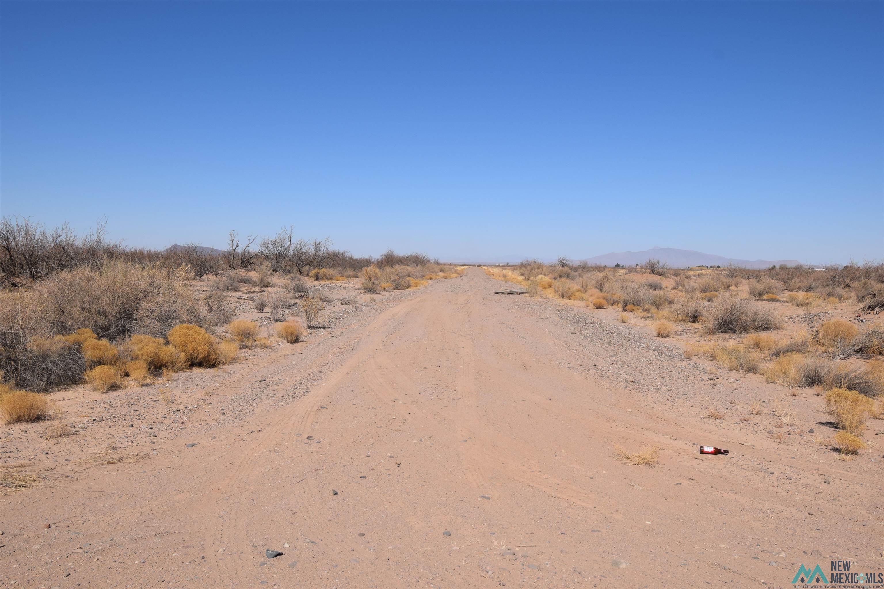 288 Bessie Drive Lot 8 Rd, Deming, New Mexico image 1