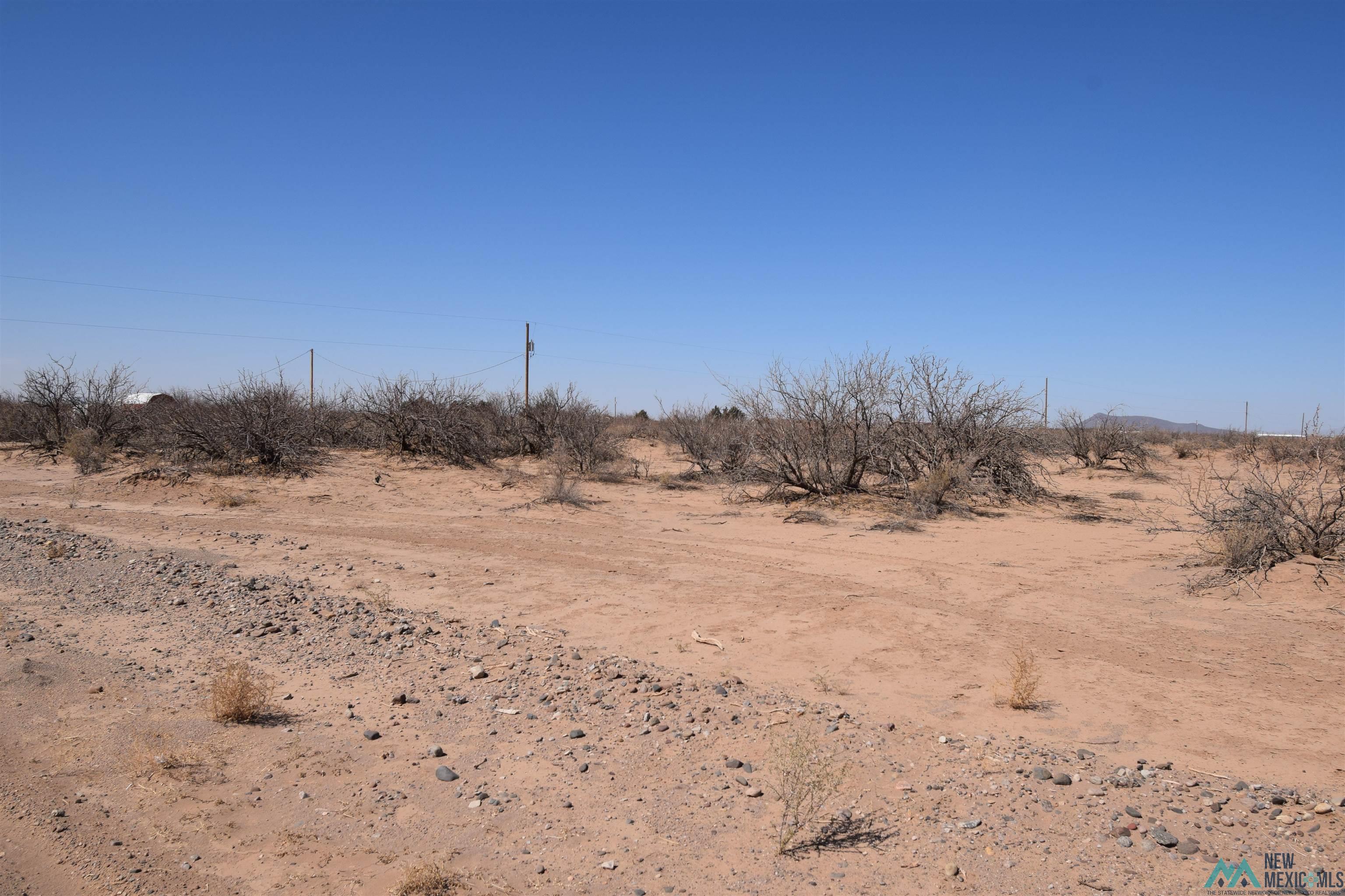 288 Bessie Drive Lot 8 Rd, Deming, New Mexico image 4