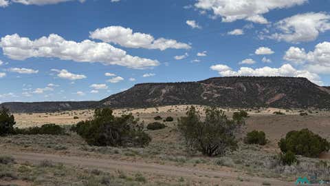 Vacant Land For Sale - 147 Largo Creek Road<br/> Catron County, Quemado, NM 87829