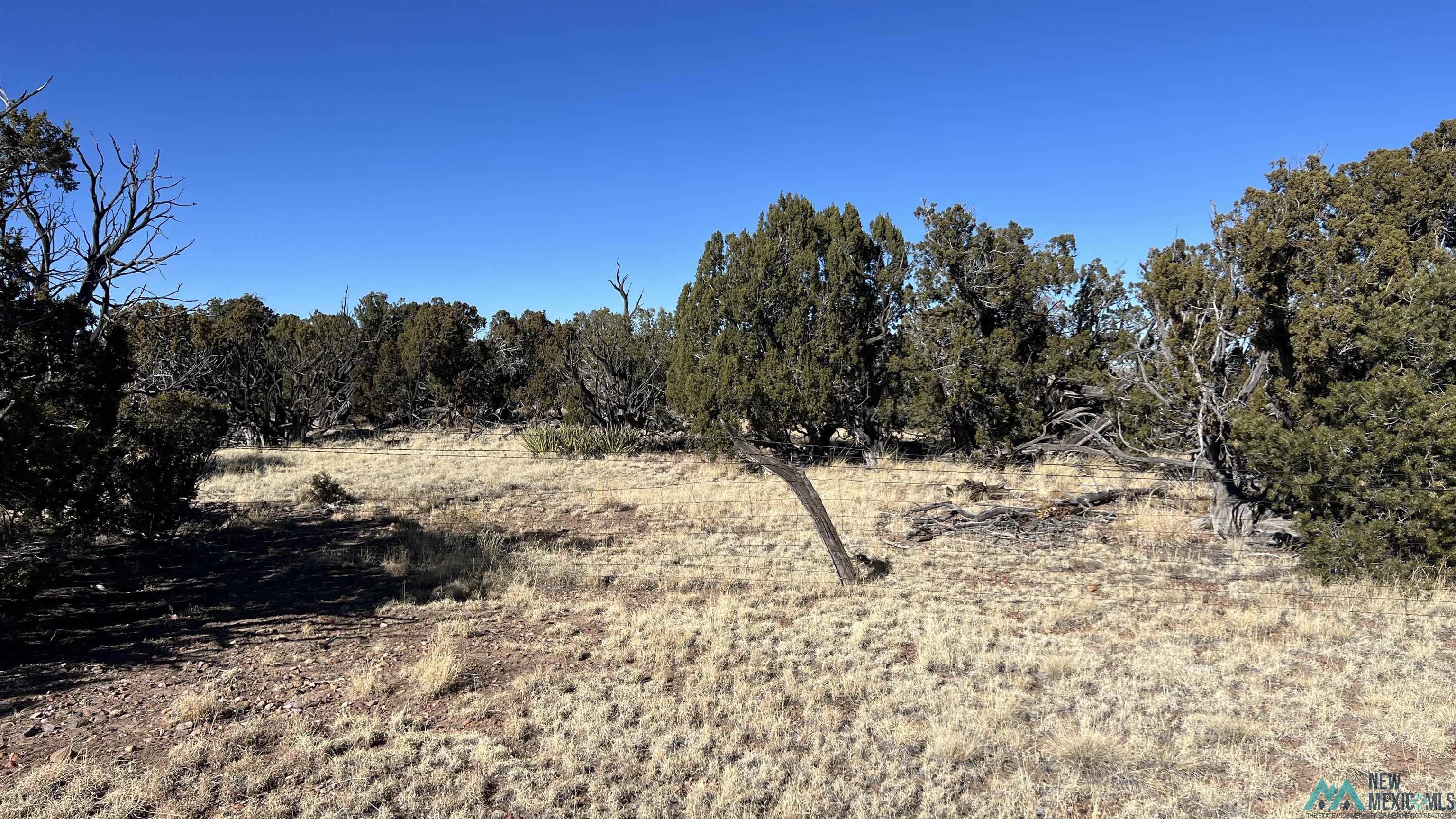 358 Cimarron Road, Quemado, New Mexico image 26