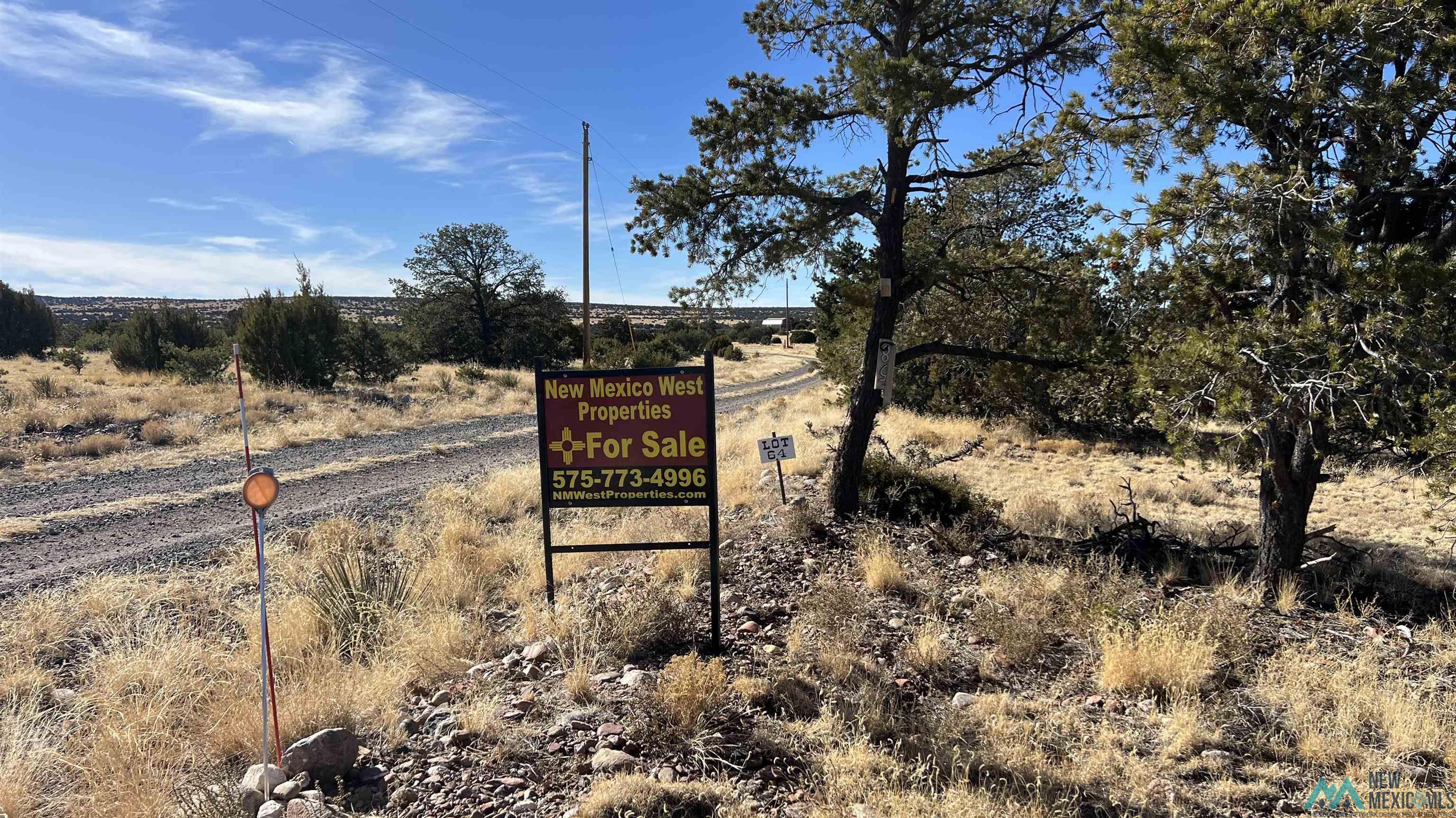 358 Cimarron Road, Quemado, New Mexico image 34