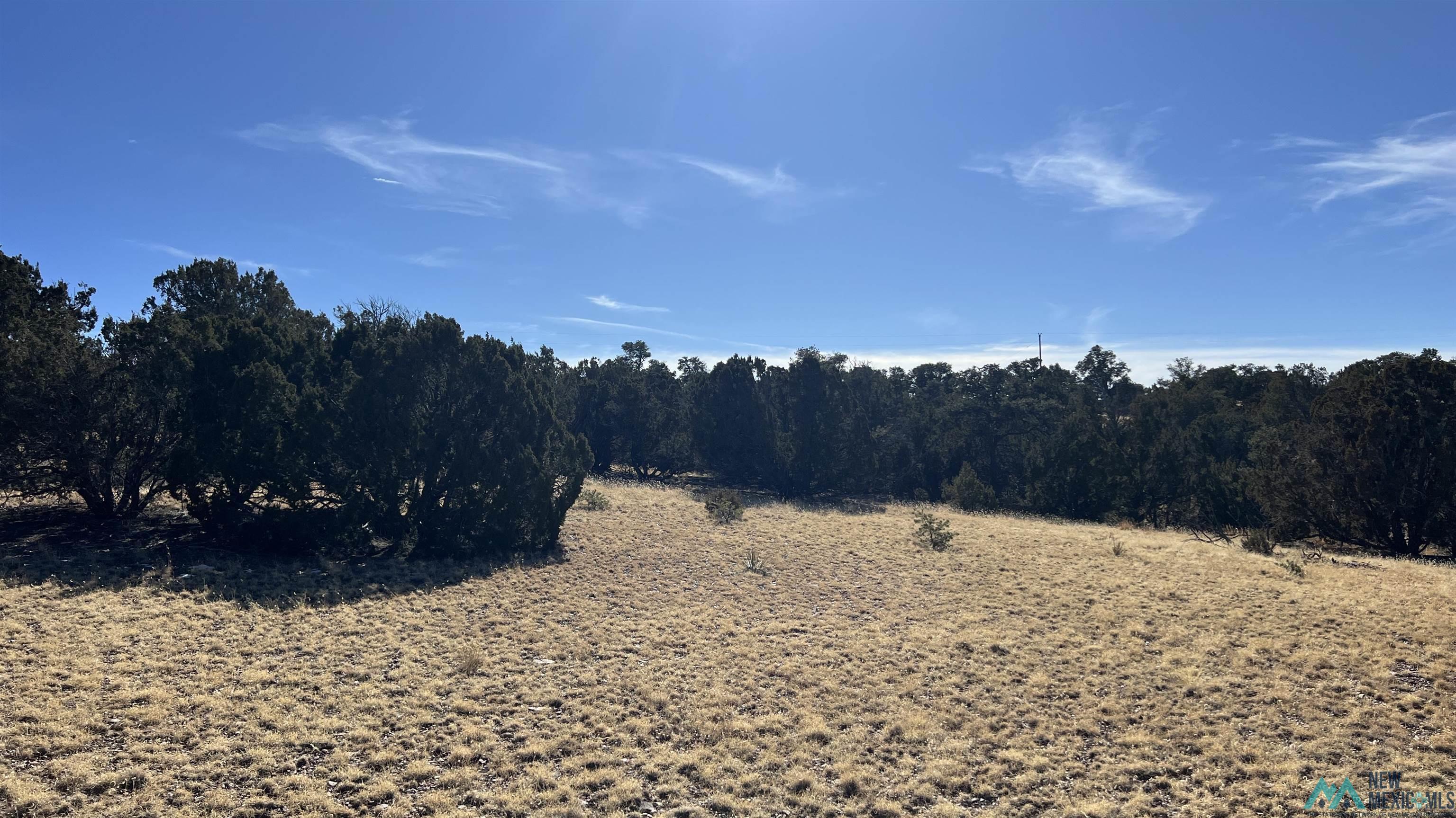 358 Cimarron Road, Quemado, New Mexico image 29