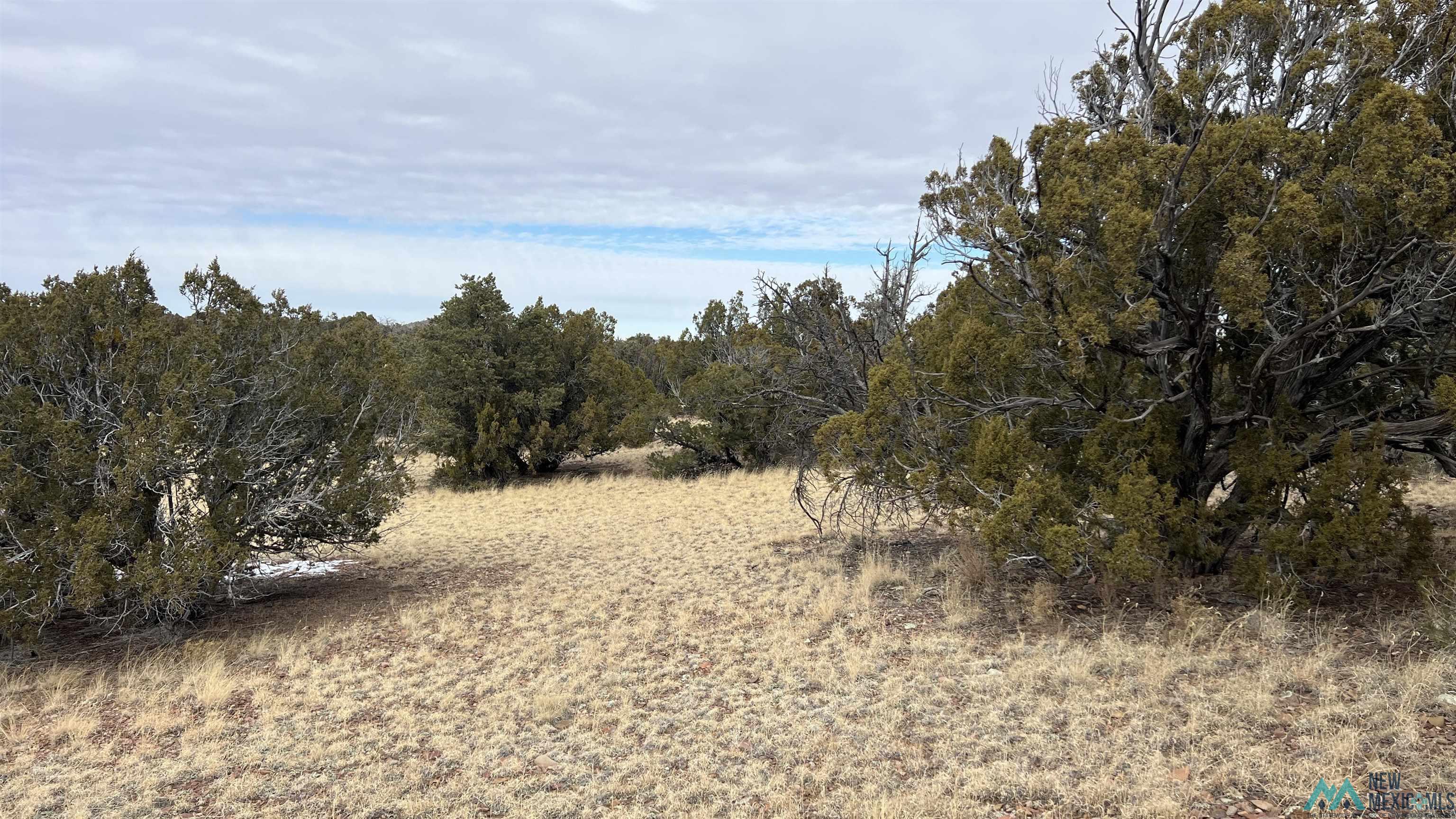 358 Cimarron Road, Quemado, New Mexico image 32