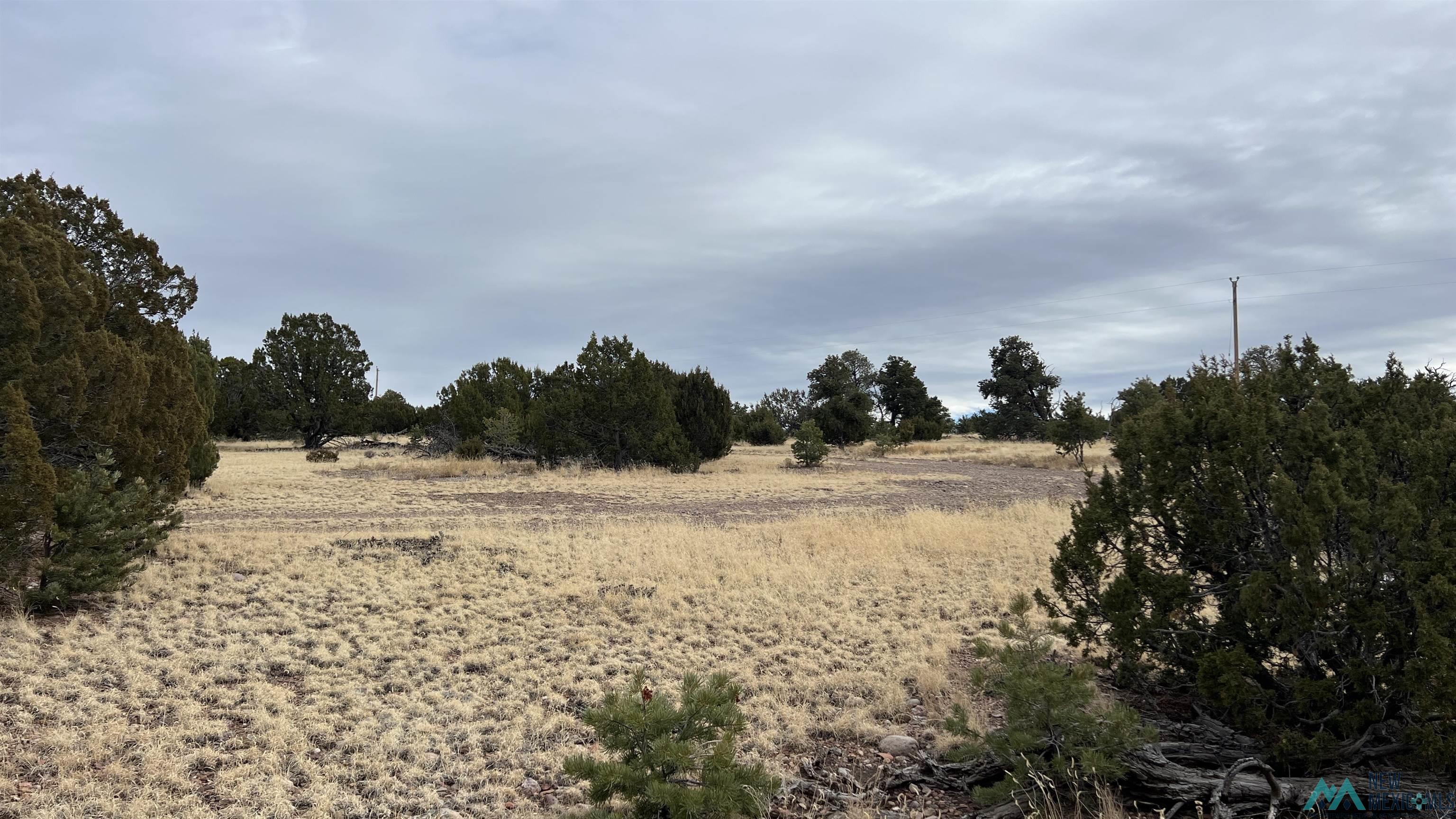 358 Cimarron Road, Quemado, New Mexico image 23