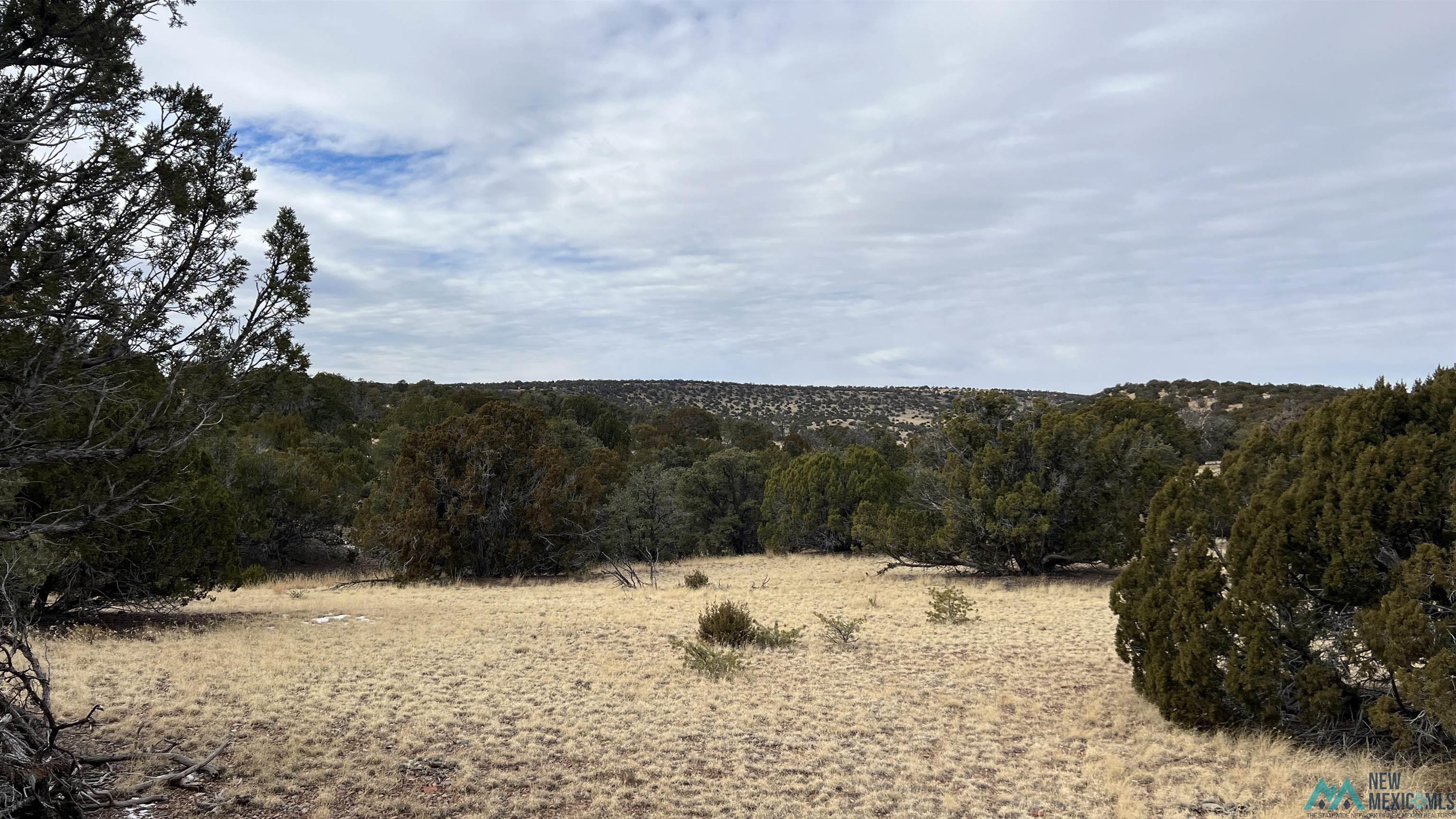 358 Cimarron Road, Quemado, New Mexico image 33