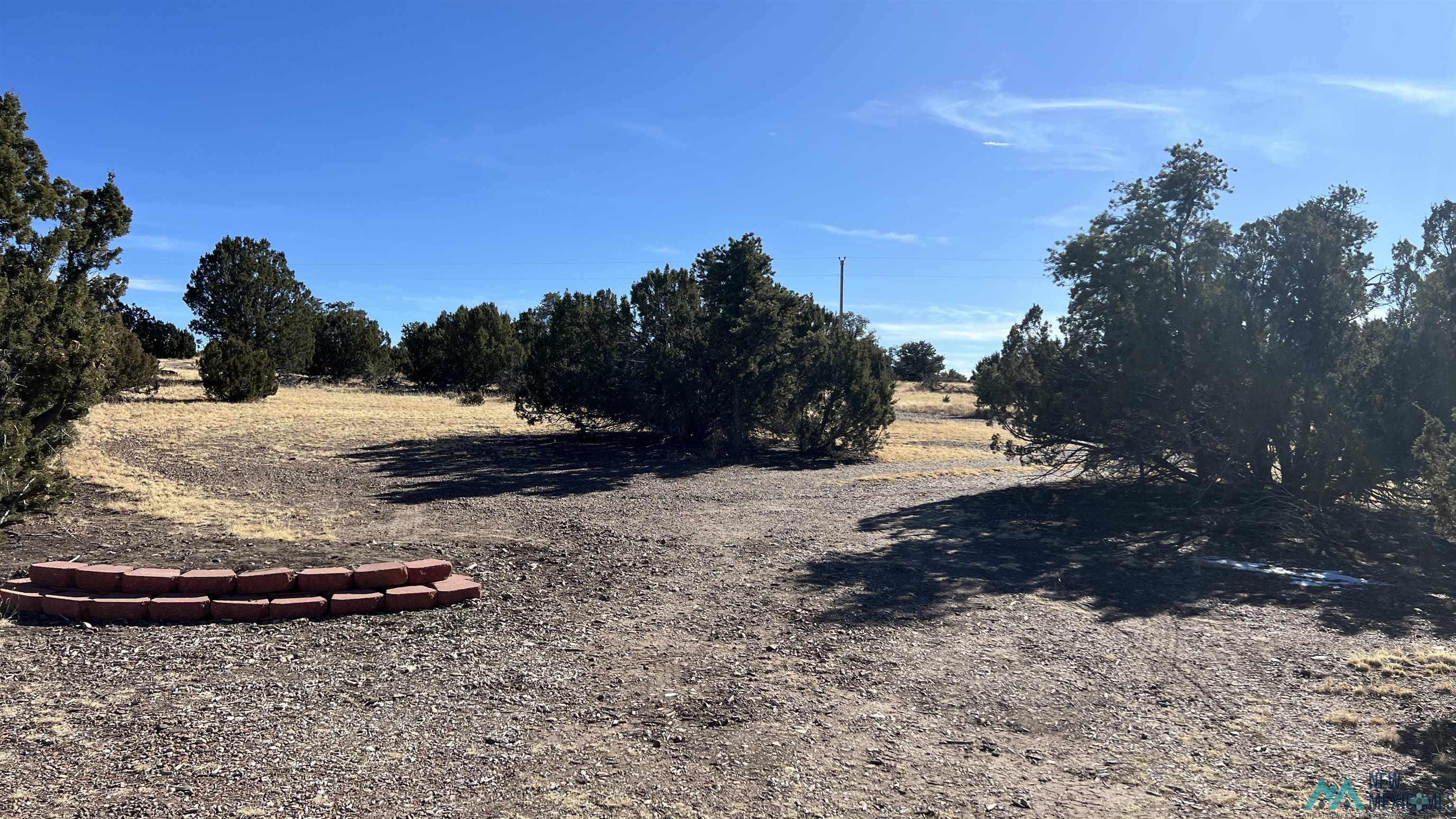 358 Cimarron Road, Quemado, New Mexico image 30