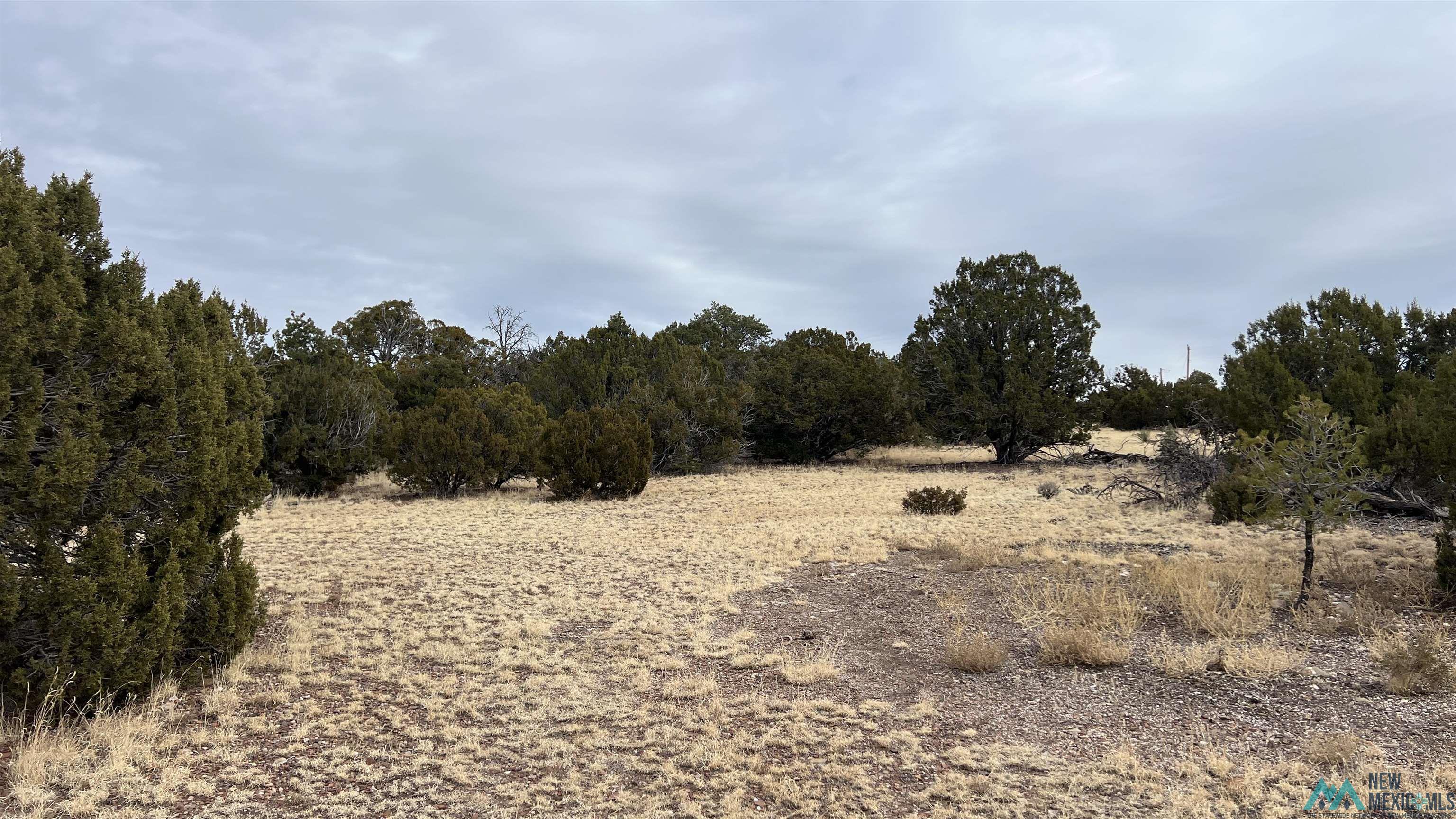 358 Cimarron Road, Quemado, New Mexico image 24