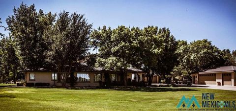 Homes For Sale - 3950 Cottonwood Street<br/> Chaves County, Roswell, NM 88203