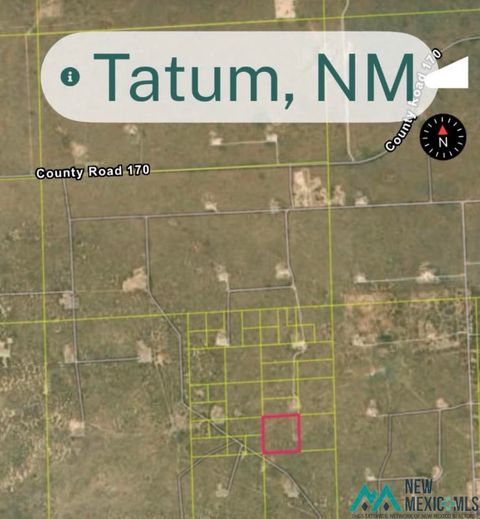 Vacant Land For Sale - TBD Tatum<br/> Lea County, Tatum, NM 88267