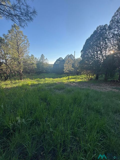 Vacant Land For Sale - Lot 12 & 19 Rio Pinar Drive<br/> Otero County, Timberon, NM 88350