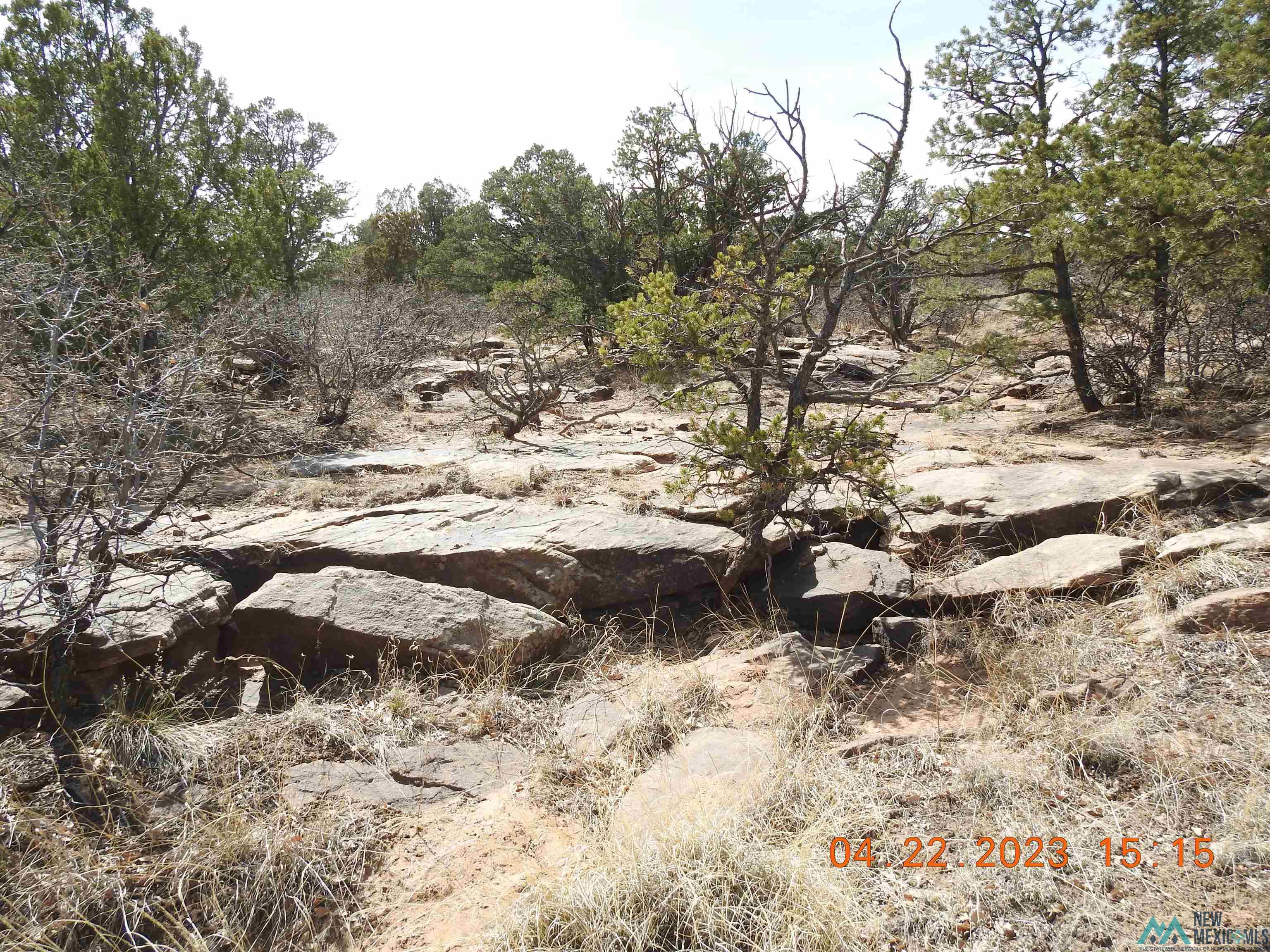 O Apache Mesa Road, Los Montoyas, Ohio image 11