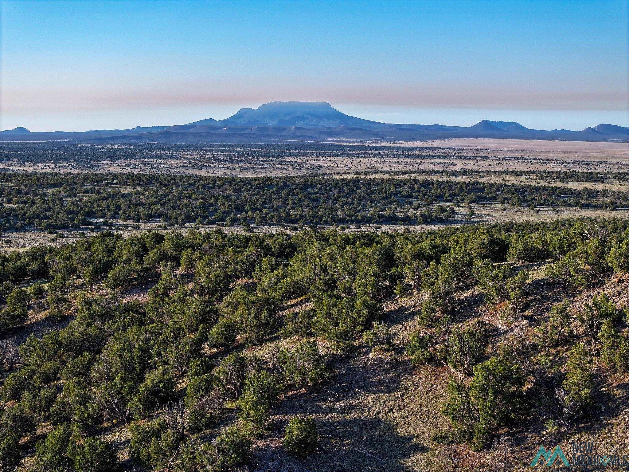 000 Omega Road, Quemado, New Mexico image 4