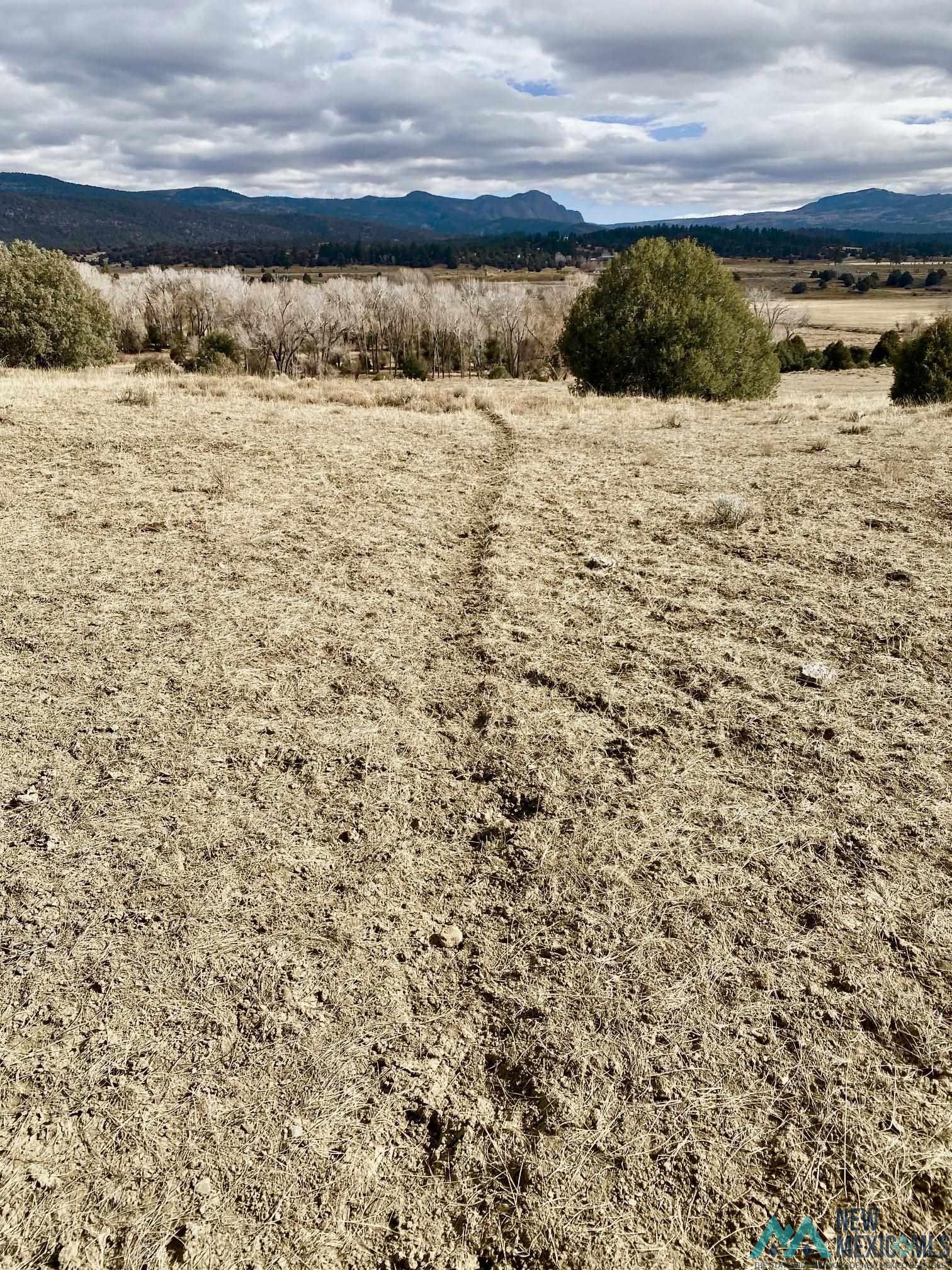 16853 Us 64/84 Highway, Tierra Amarilla, New Mexico image 9