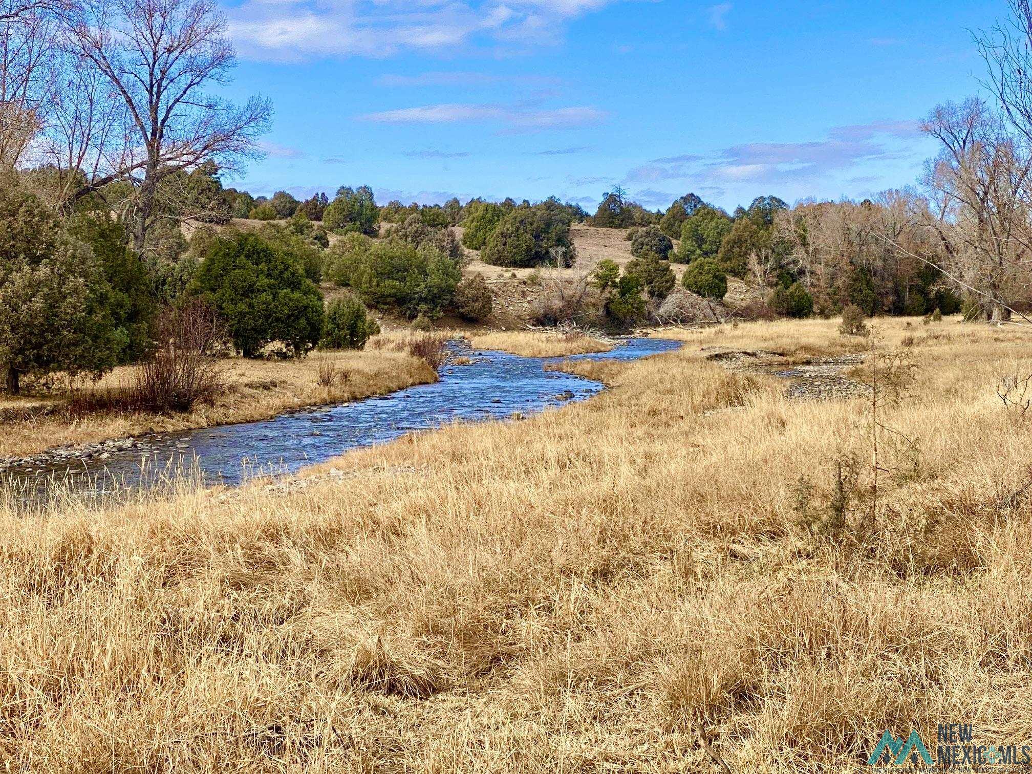 16853 Us 64/84 Highway, Tierra Amarilla, New Mexico image 1