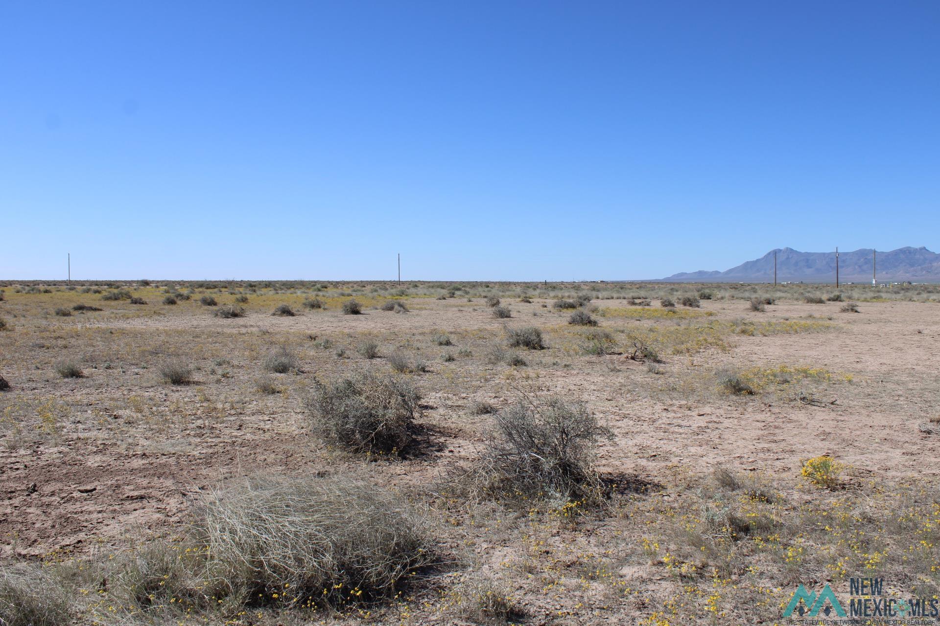 Solana Rd, Deming, New Mexico image 2