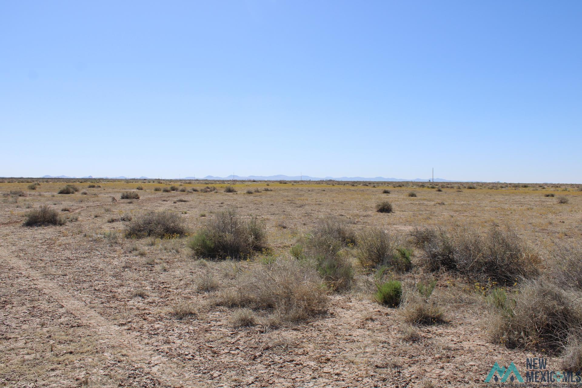 Solana Rd, Deming, New Mexico image 11