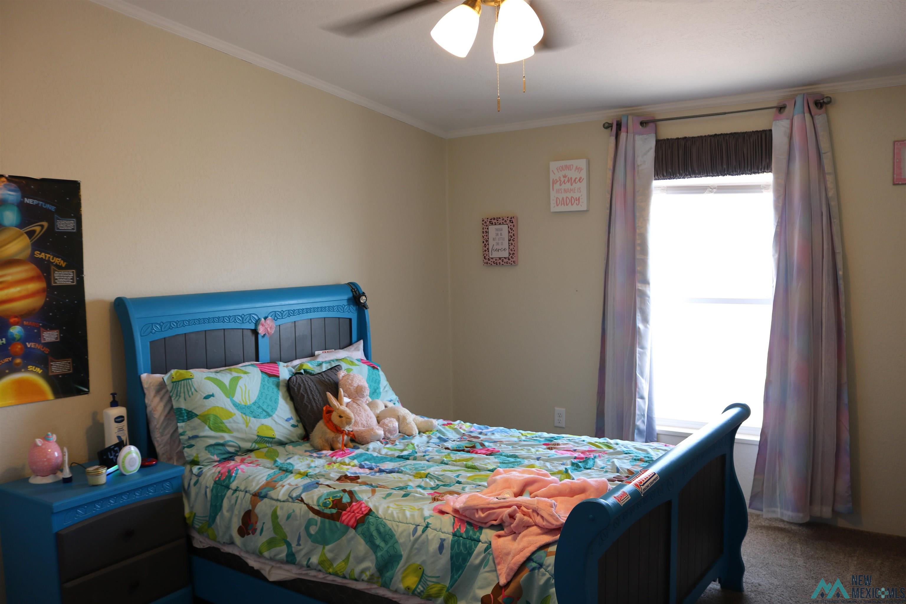 22310 Cheyenne Rd Se Road, Deming, New Mexico image 23