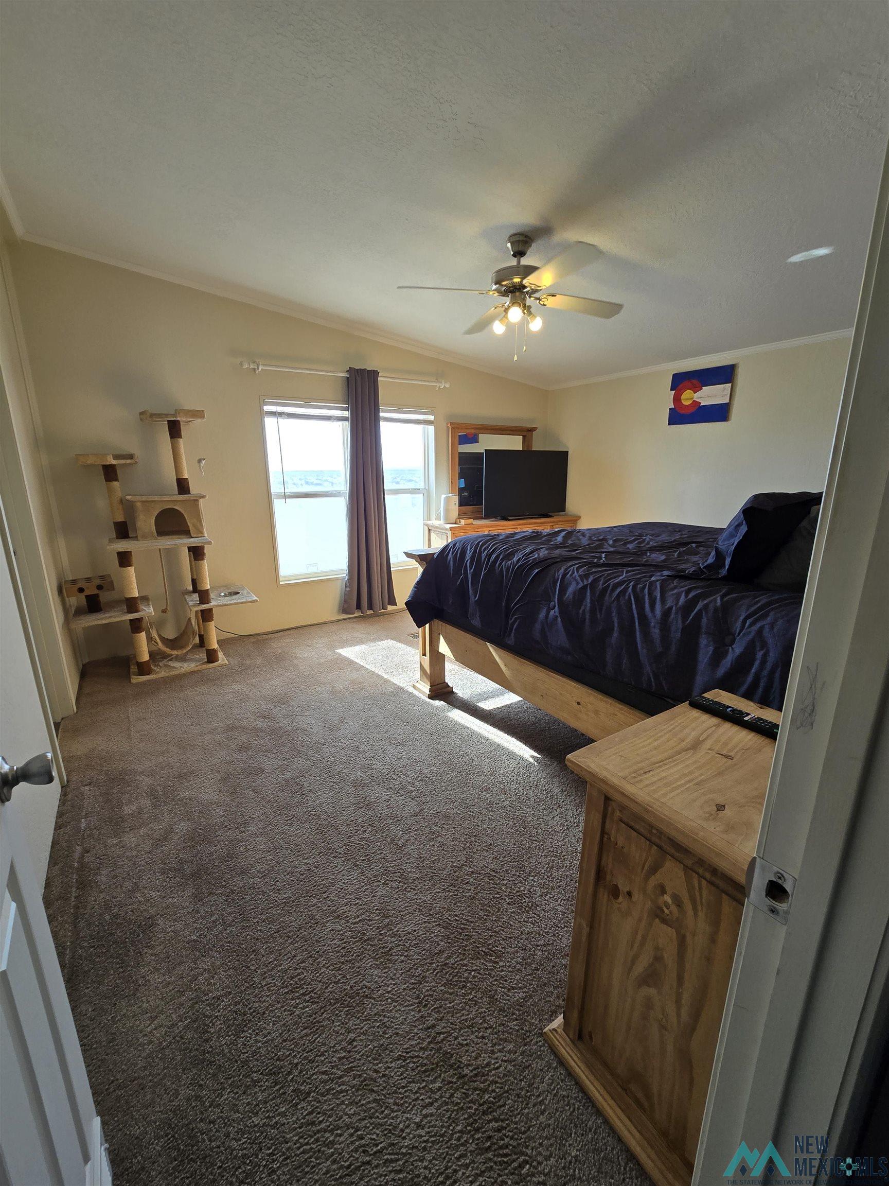 22310 Cheyenne Rd Se Road, Deming, New Mexico image 3