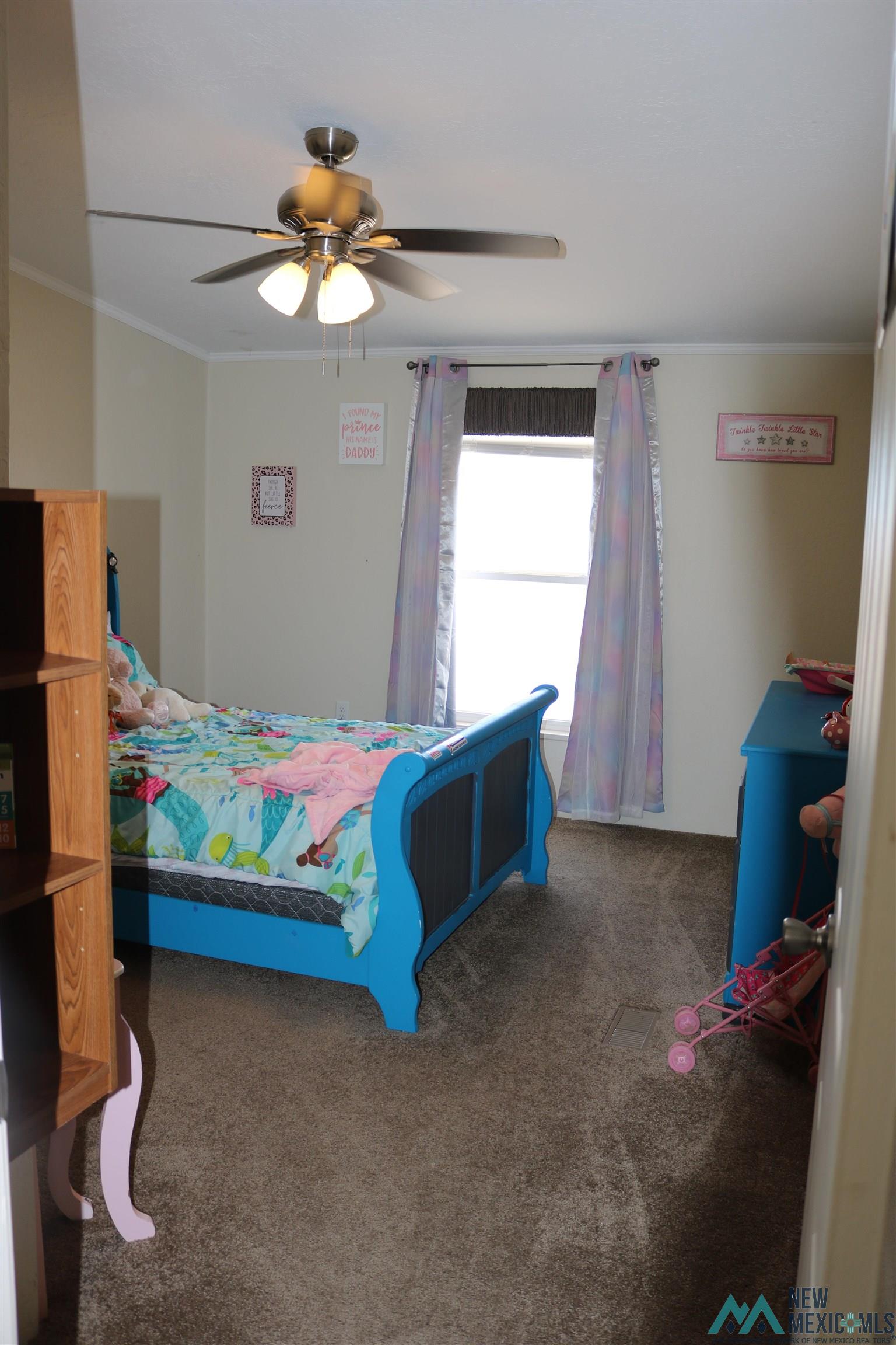 22310 Cheyenne Rd Se Road, Deming, New Mexico image 22