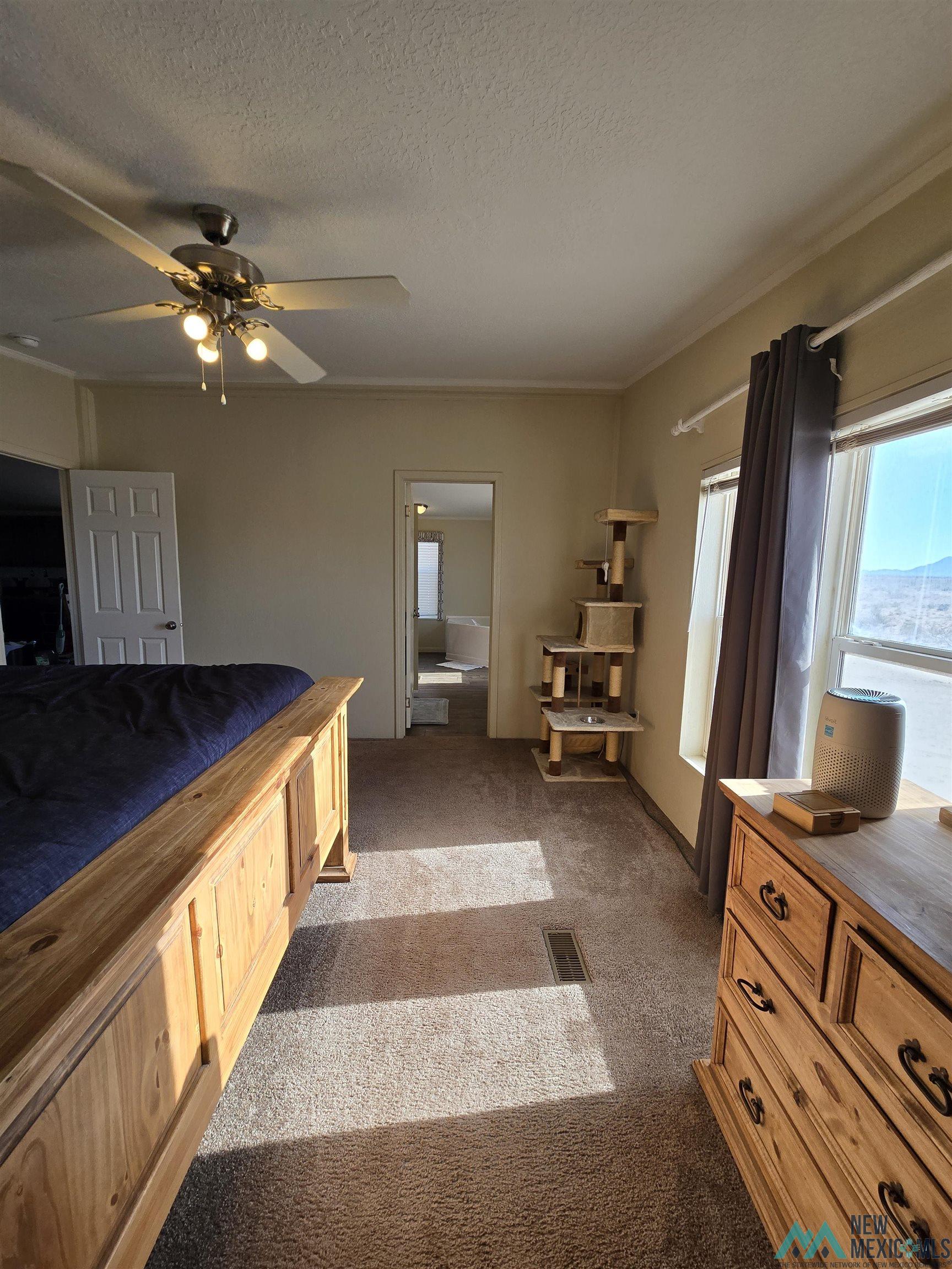 22310 Cheyenne Rd Se Road, Deming, New Mexico image 6