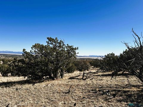 Vacant Land For Sale - YY Tanglewood Circle<br/> Datil, NM 87821