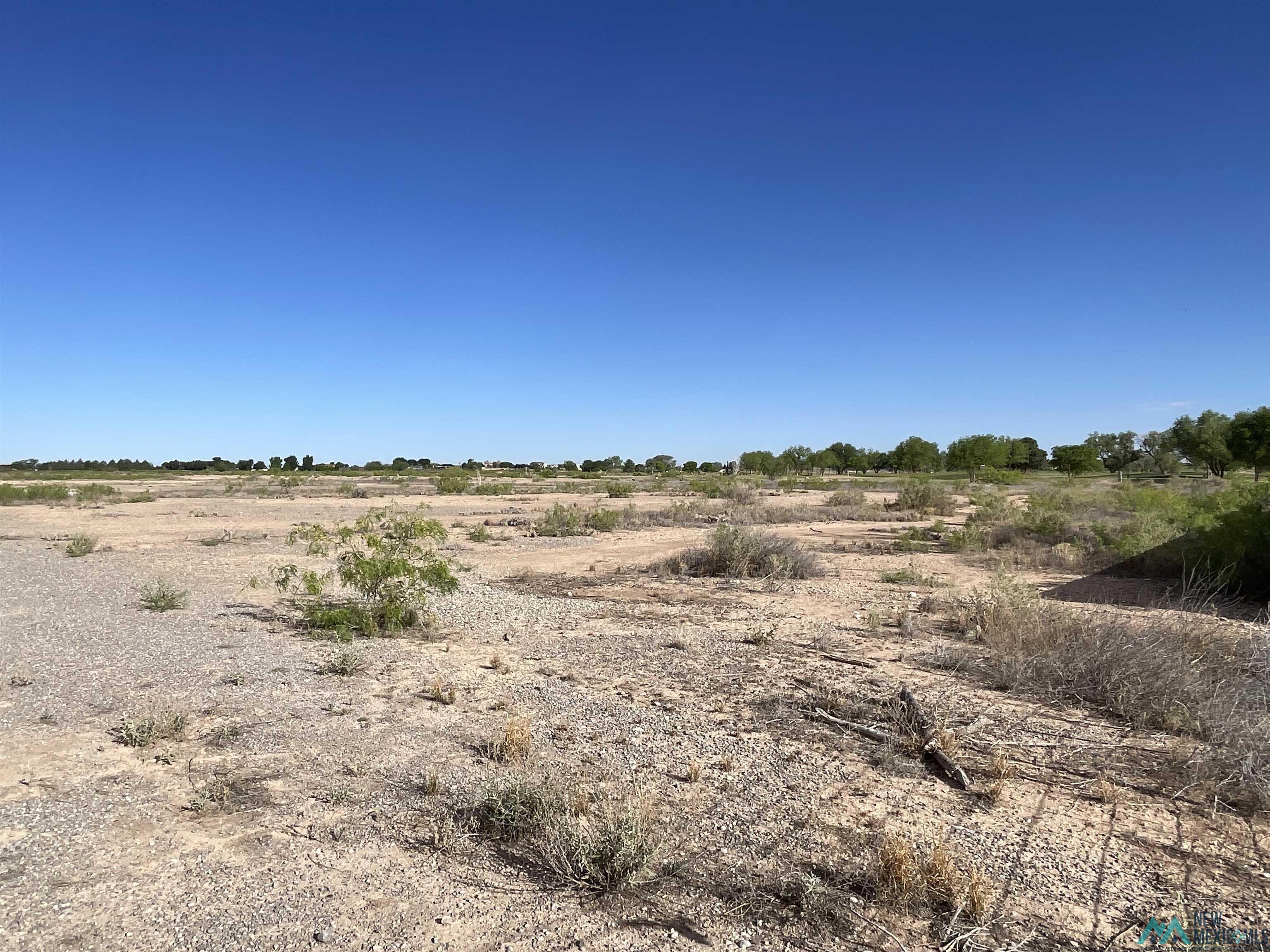 West Of 26th North Of Main Street, Artesia, New Mexico image 4