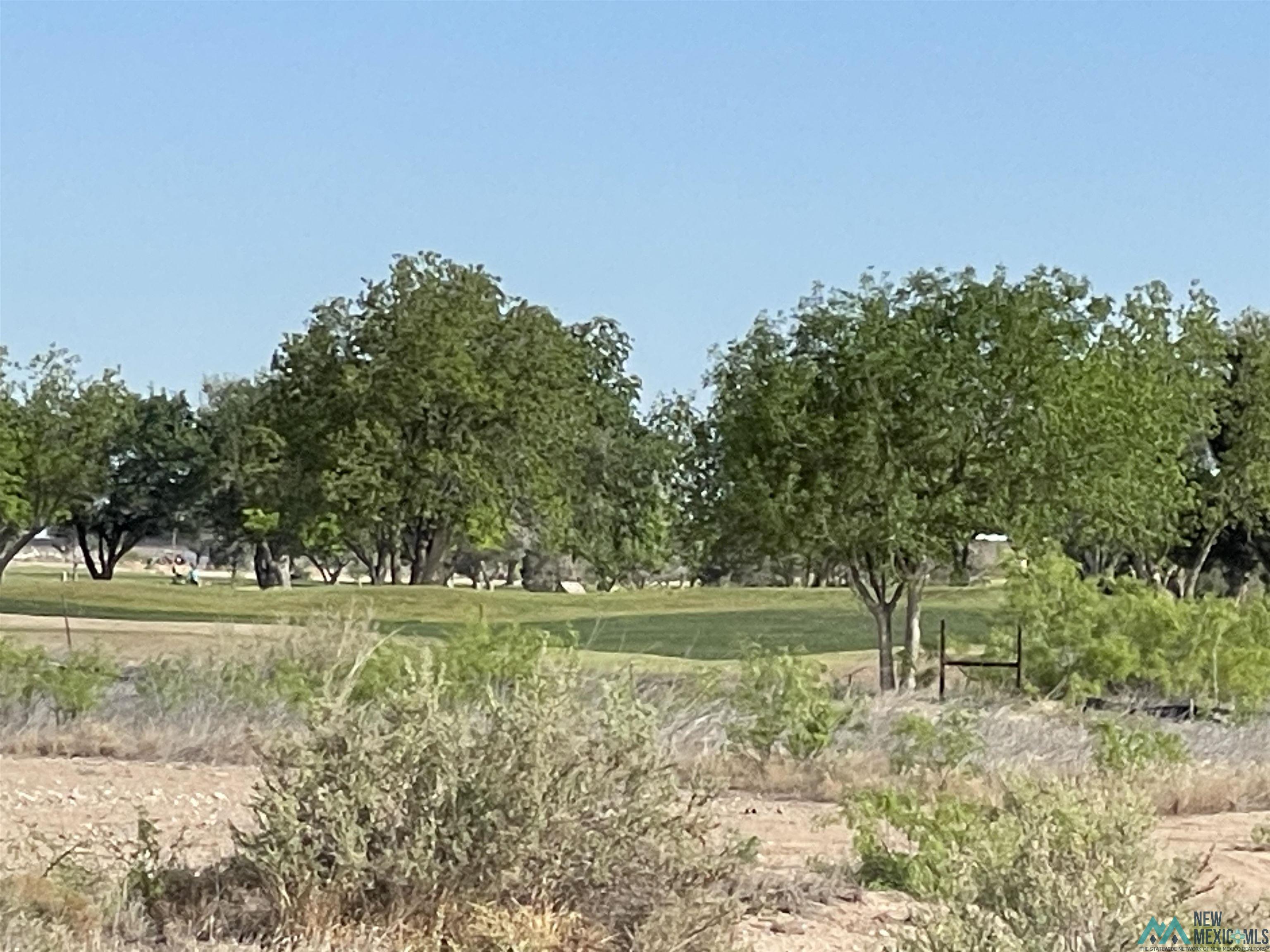 West Of 26th North Of Main Street, Artesia, New Mexico image 6