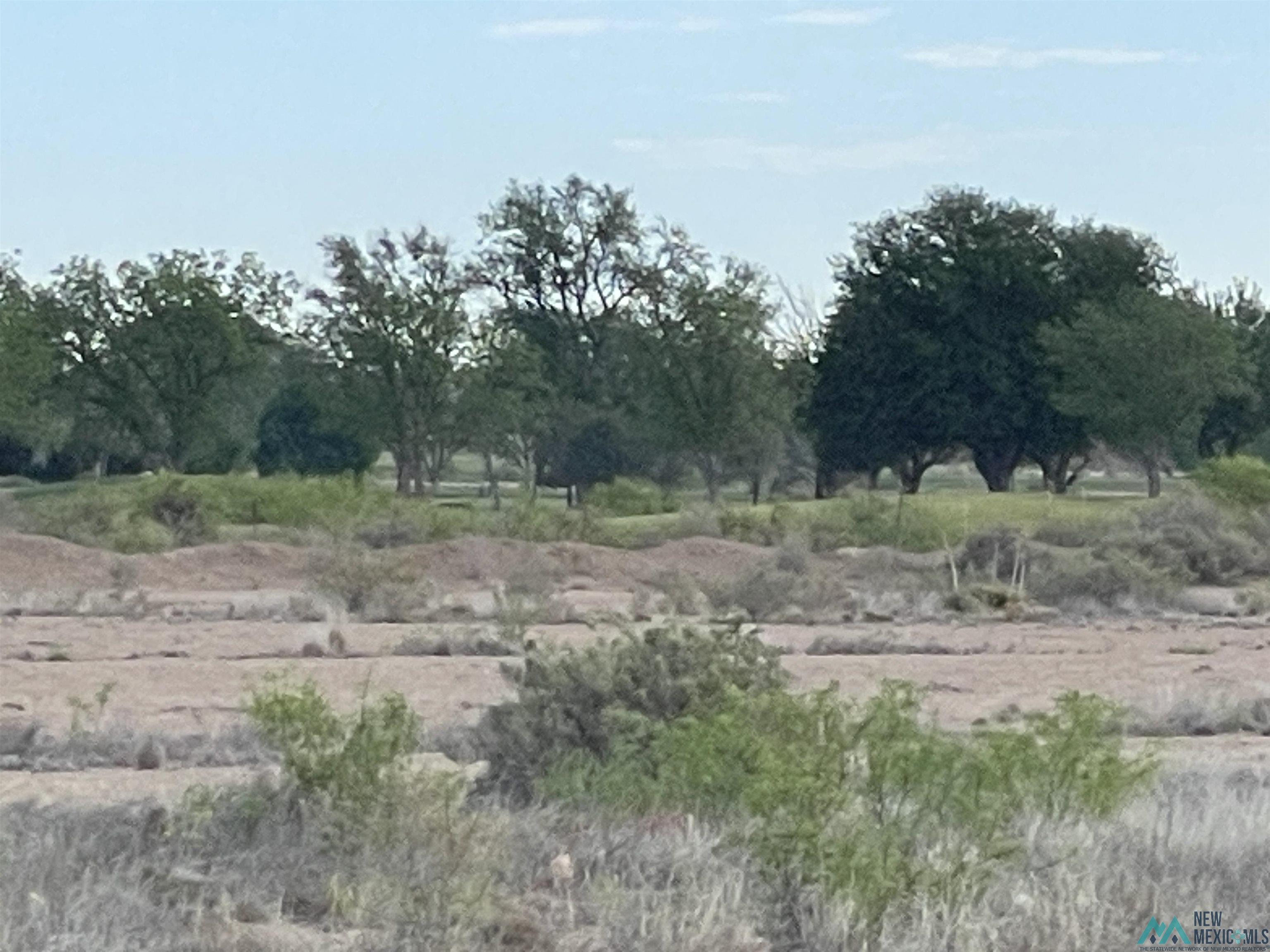 West Of 26th North Of Main Street, Artesia, New Mexico image 2