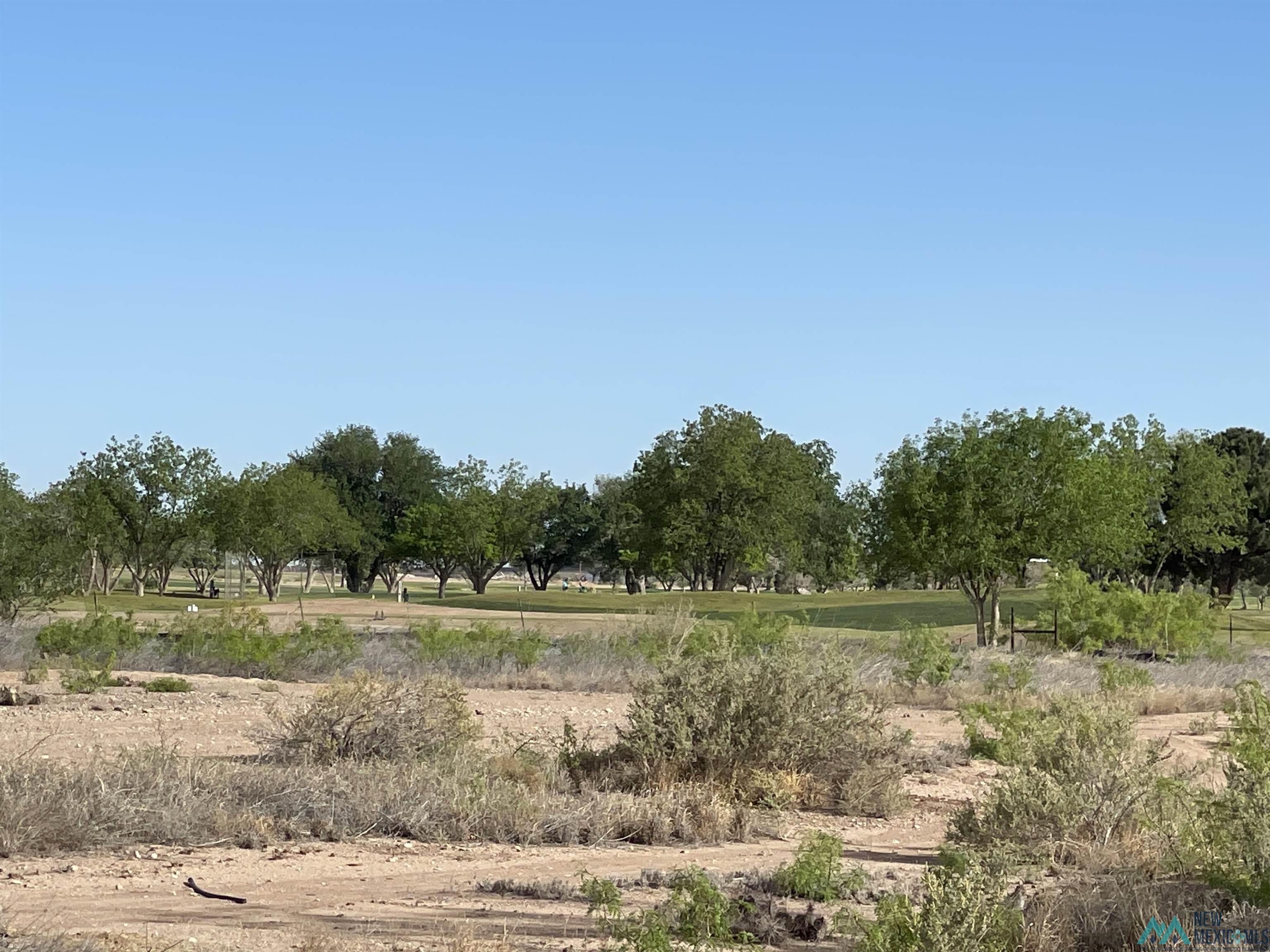 West Of 26th North Of Main Street, Artesia, New Mexico image 5