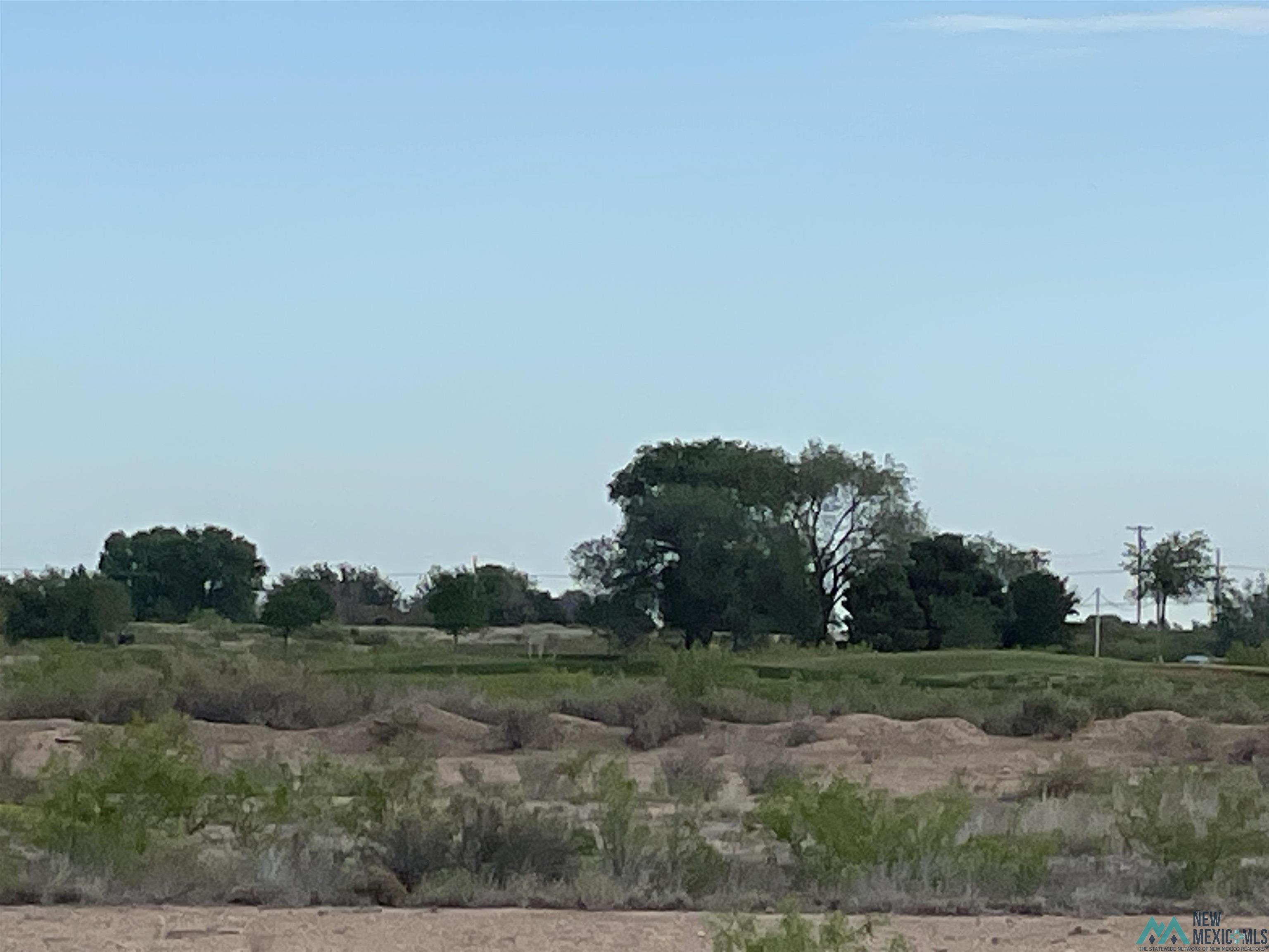 West Of 26th North Of Main Street, Artesia, New Mexico image 1