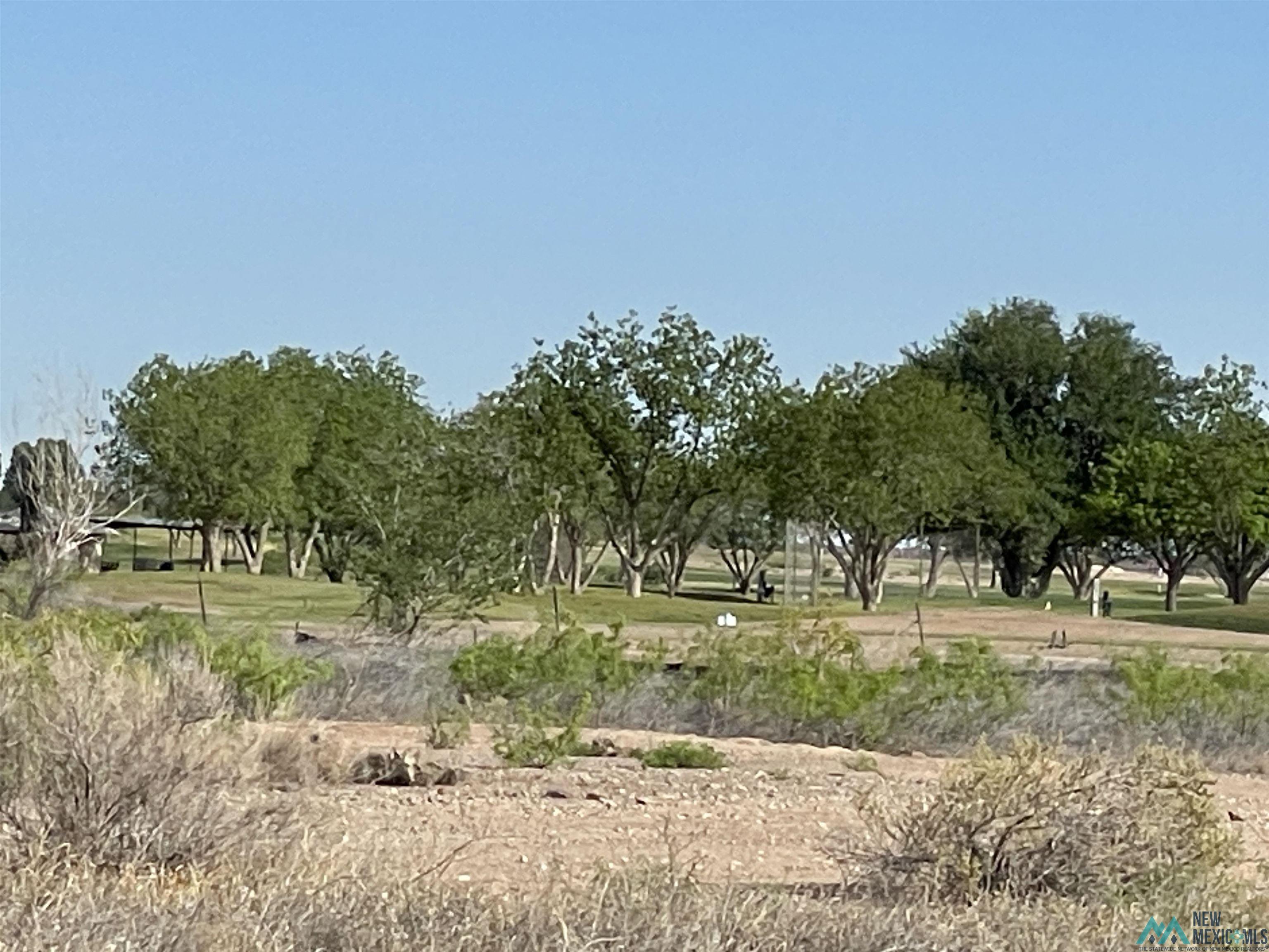 West Of 26th North Of Main Street, Artesia, New Mexico image 7