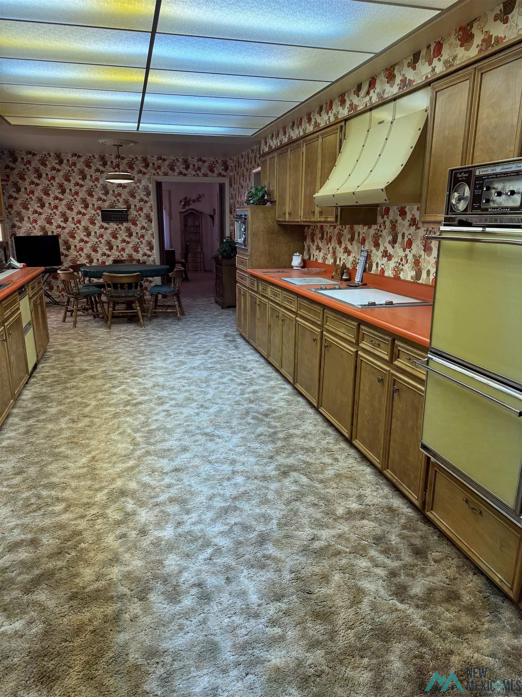 2400 W Loma Drive, Artesia, Texas image 10