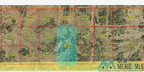 Vacant Land For Sale - LOT Tbd La Tinaja Trail<br/> Pinehill, NM 87357