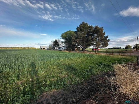 Homes For Sale - 2070 Real Wind Drive<br/> Fort Sumner, NM 88119