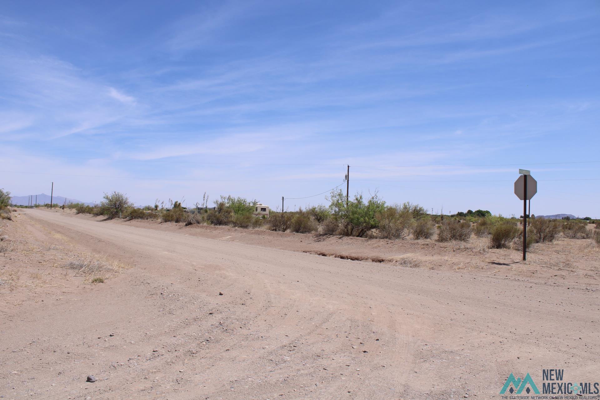 Pampas Rd Sw, Deming, New Mexico image 5