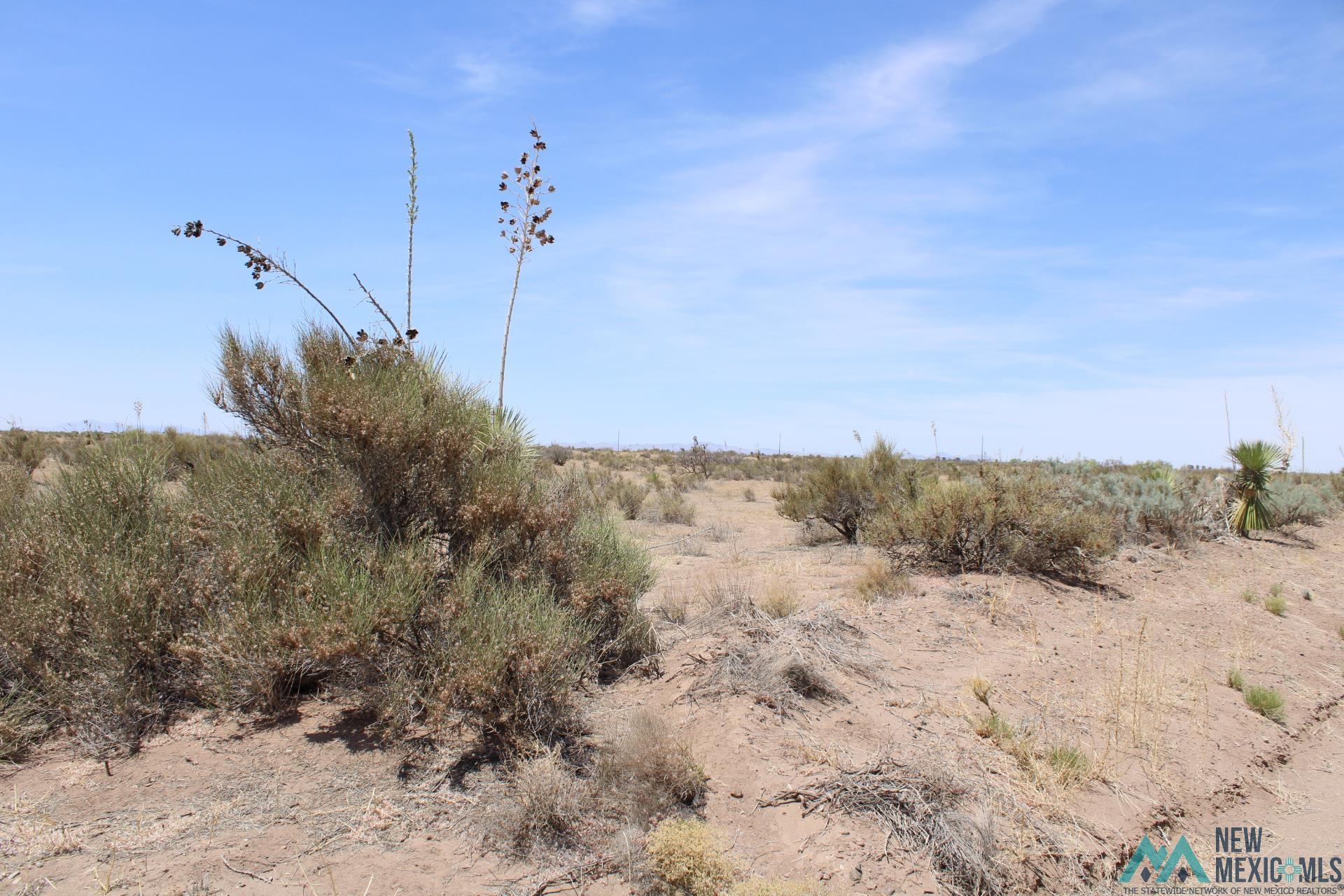 Pampas Rd Sw, Deming, New Mexico image 2