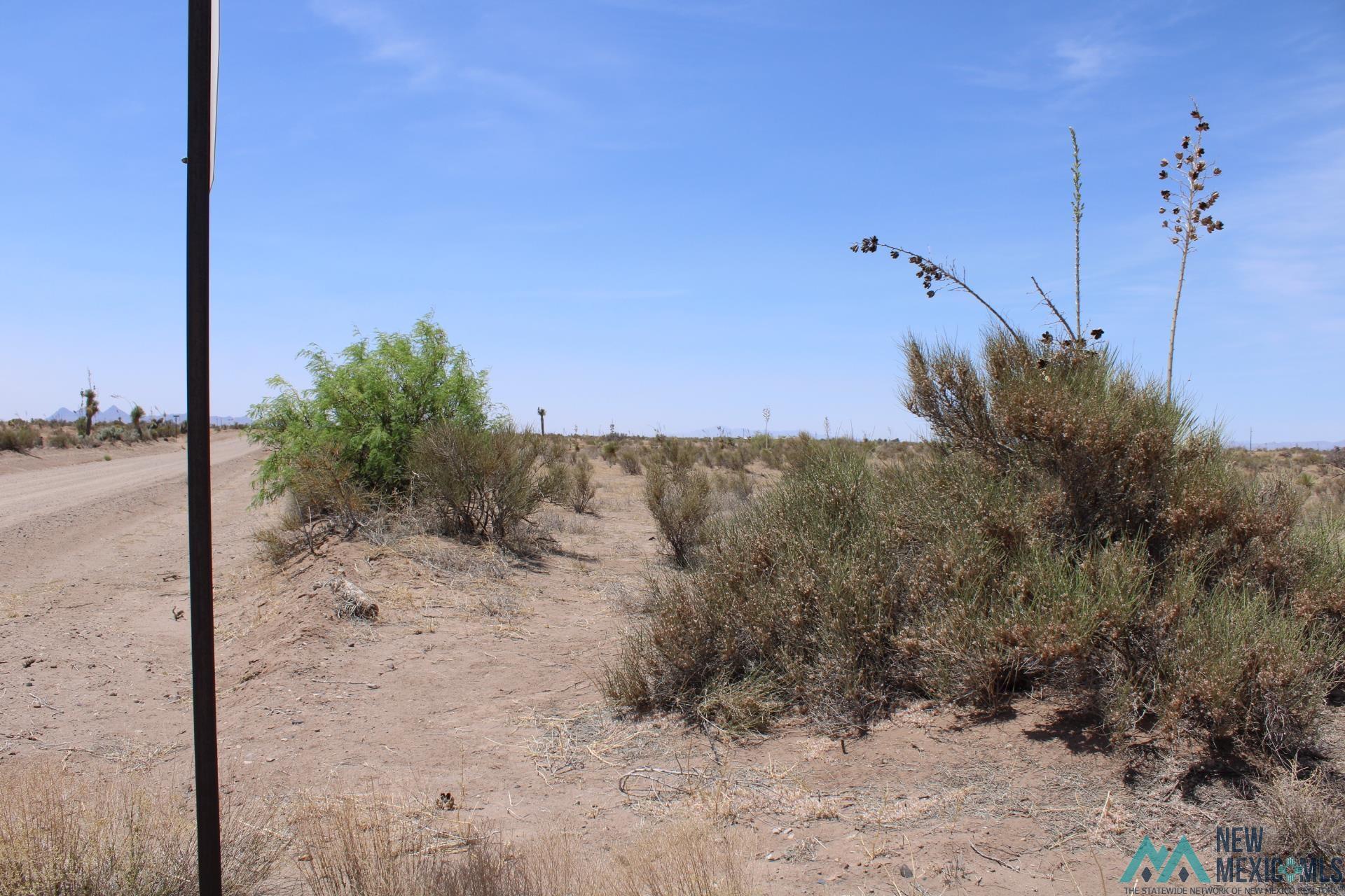 Pampas Rd Sw, Deming, New Mexico image 1