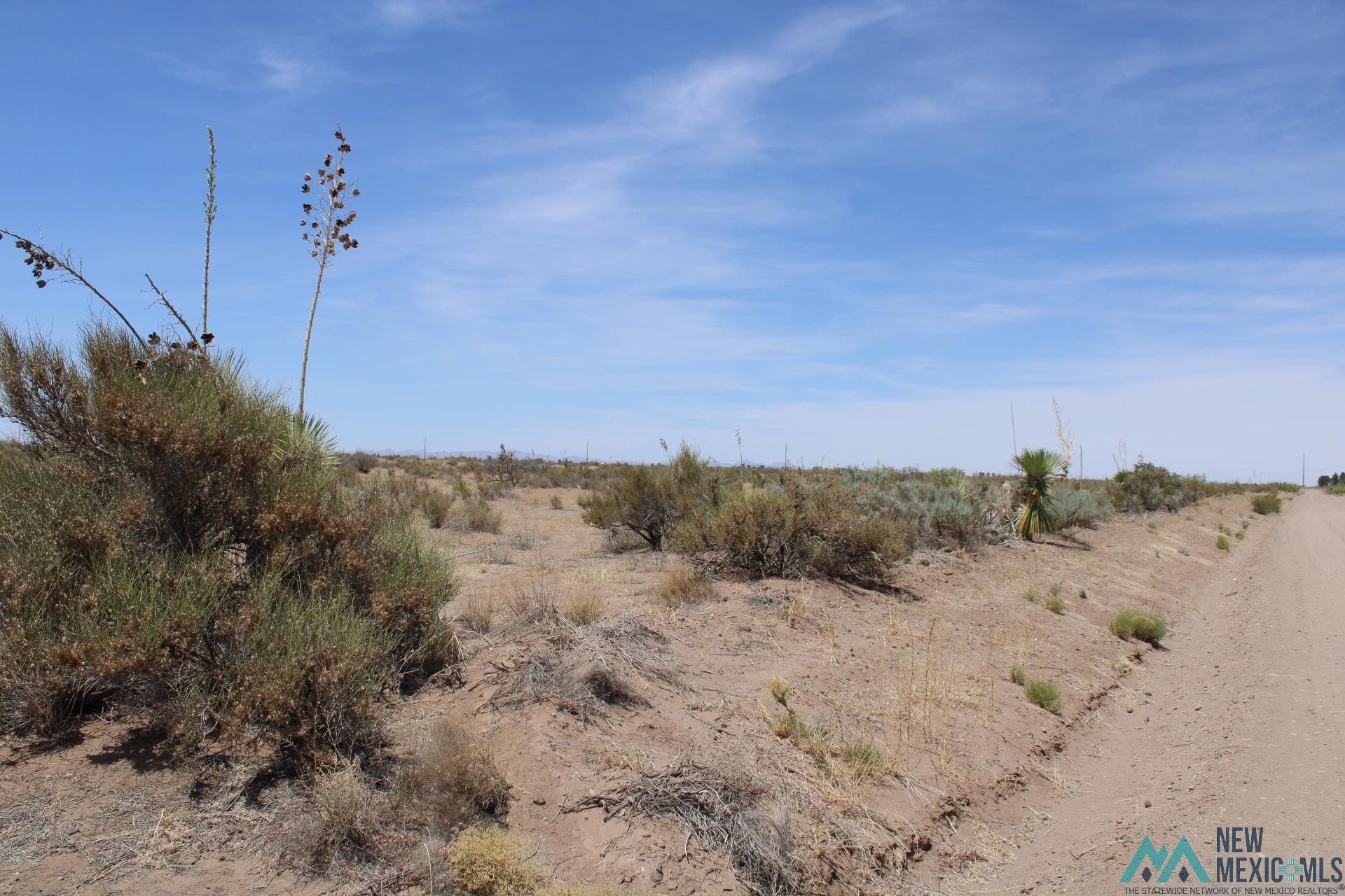 Pampas Rd Sw, Deming, New Mexico image 3