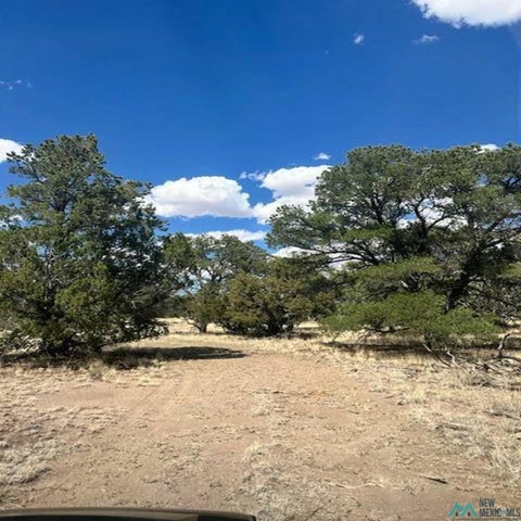 Vacant Land For Sale - 83 Hough Lane<br/> Pie Town, NM 87827