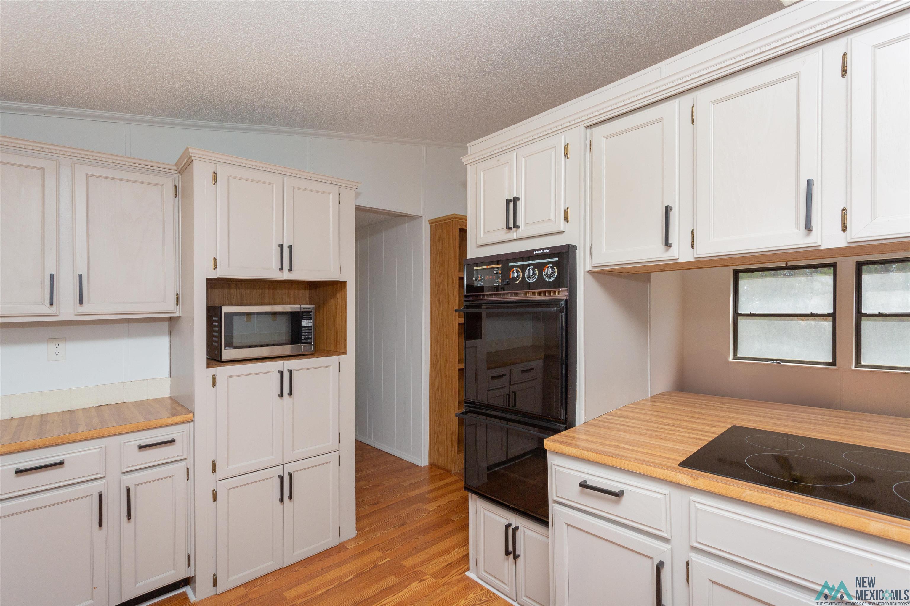 99 E Morgan Road, Hagerman, New Mexico image 7