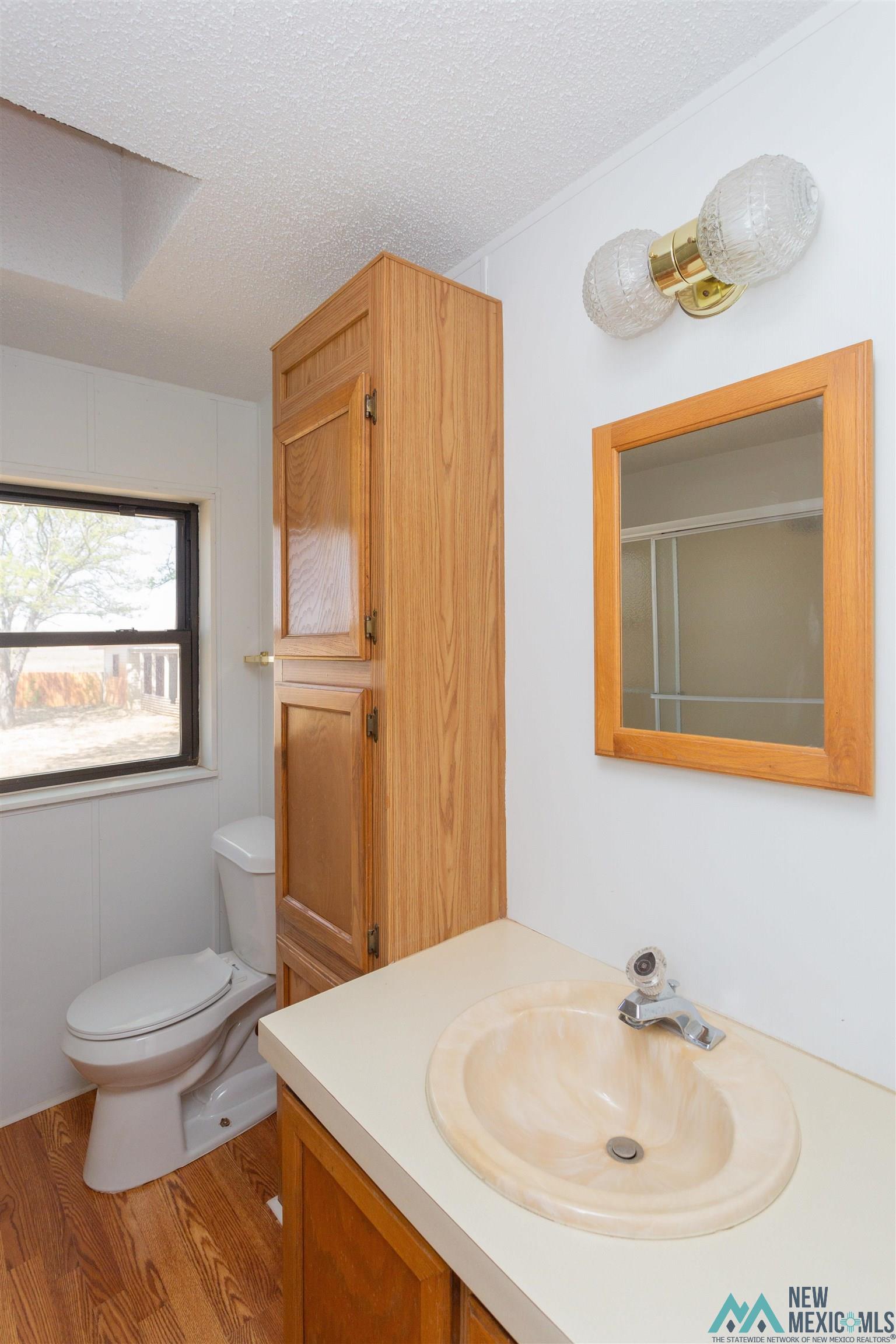 99 E Morgan Road, Hagerman, New Mexico image 35