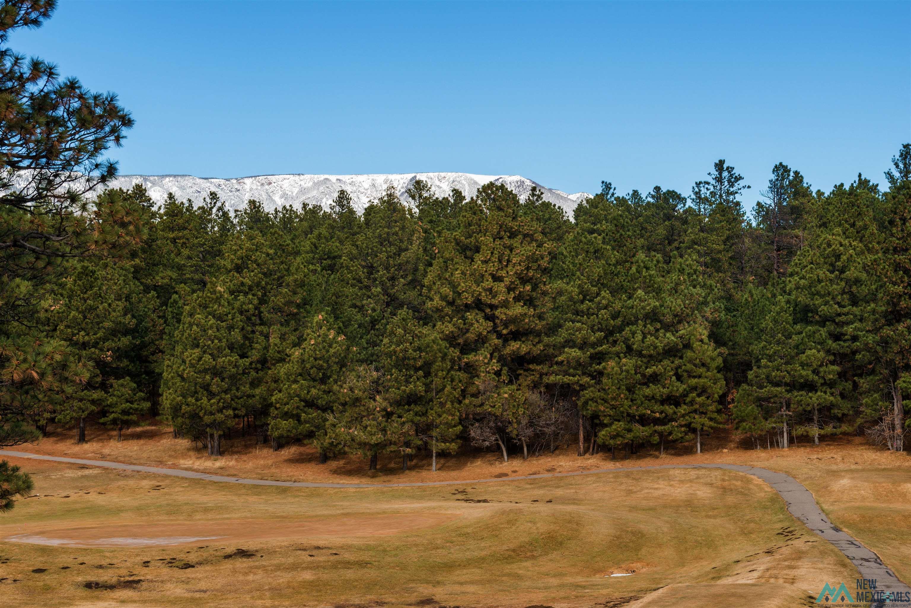 Lot 93 Camino Facil Road, Rociada, New Mexico image 2