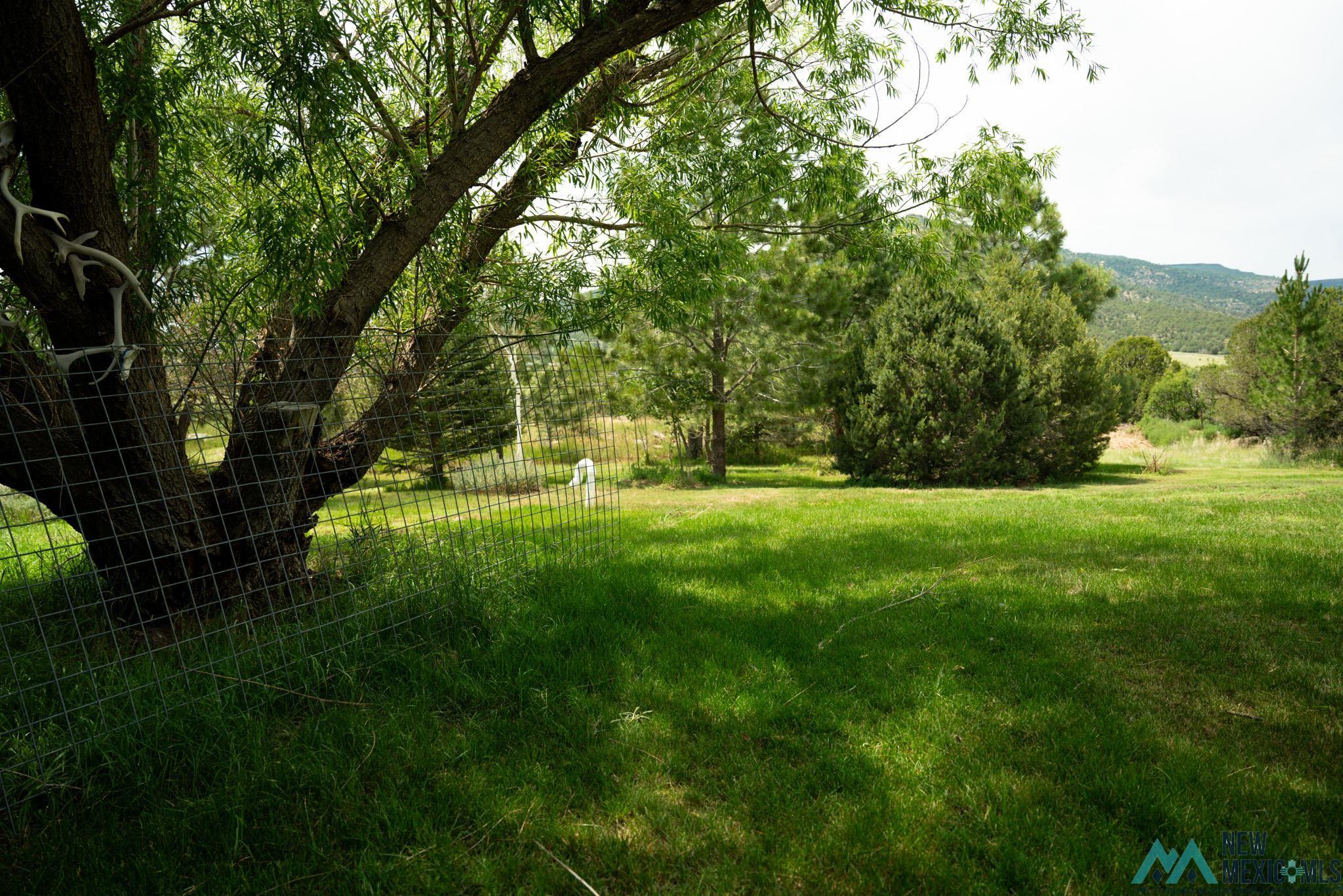 39 Rancho Lane, Raton, New Mexico image 4