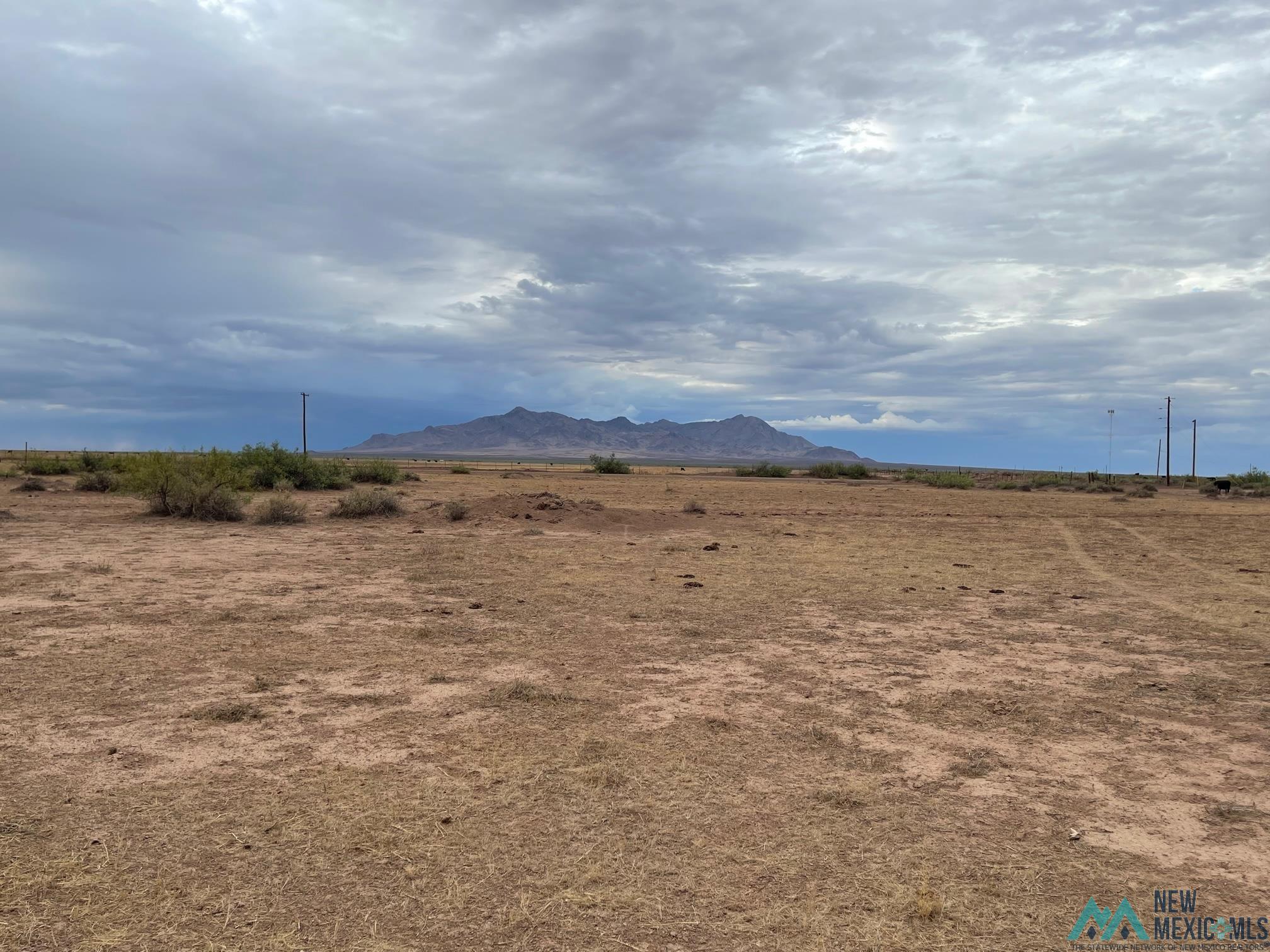 0000 Whirlwind, Deming, New Mexico image 6