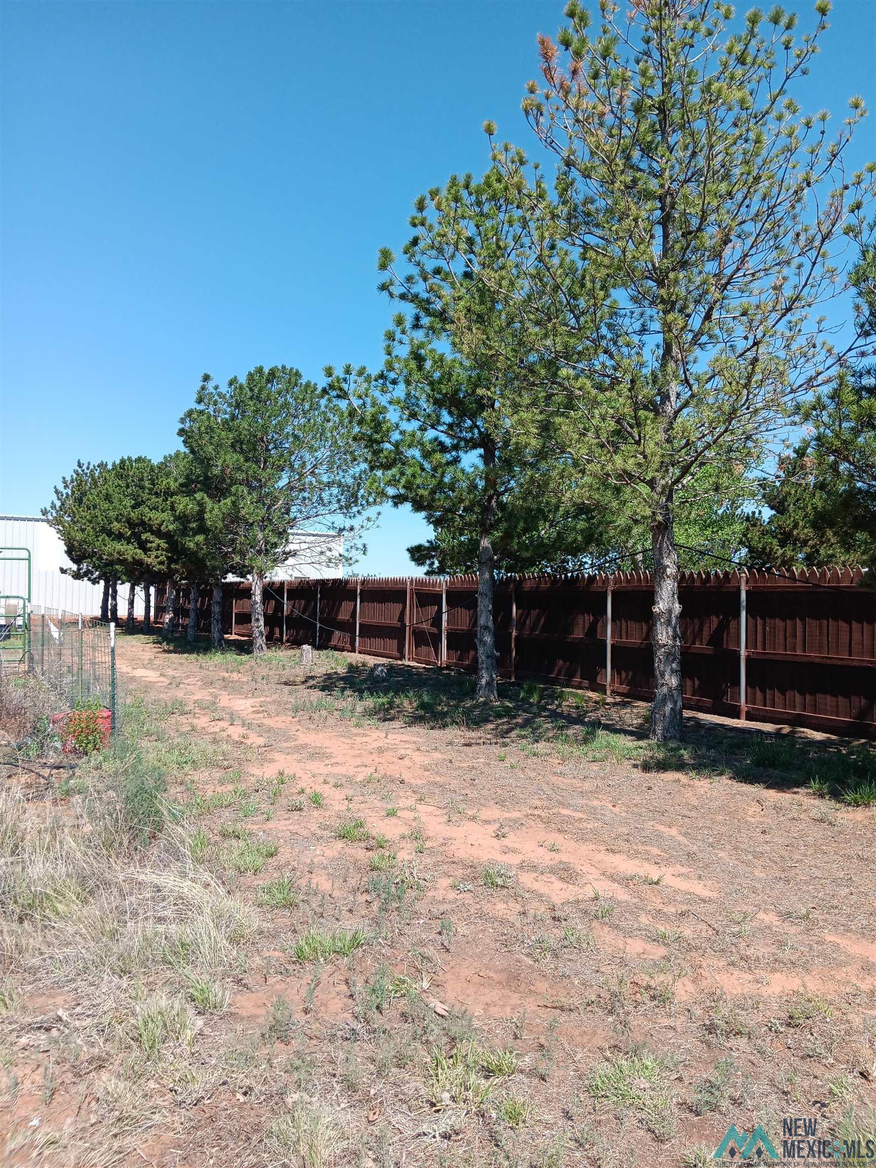 821 W Abo Highway, Melrose, New Mexico image 10