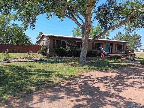 Homes For Sale - 821 W Abo Highway<br/> Melrose, NM 88124