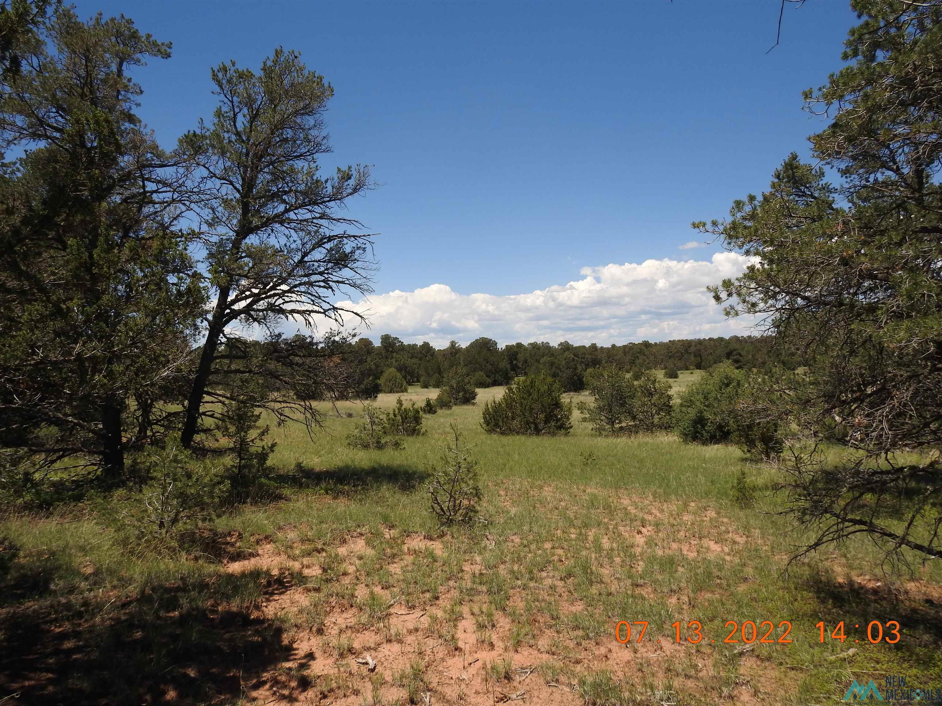 9 Tierra Del Dios, Rowe, New Mexico image 17