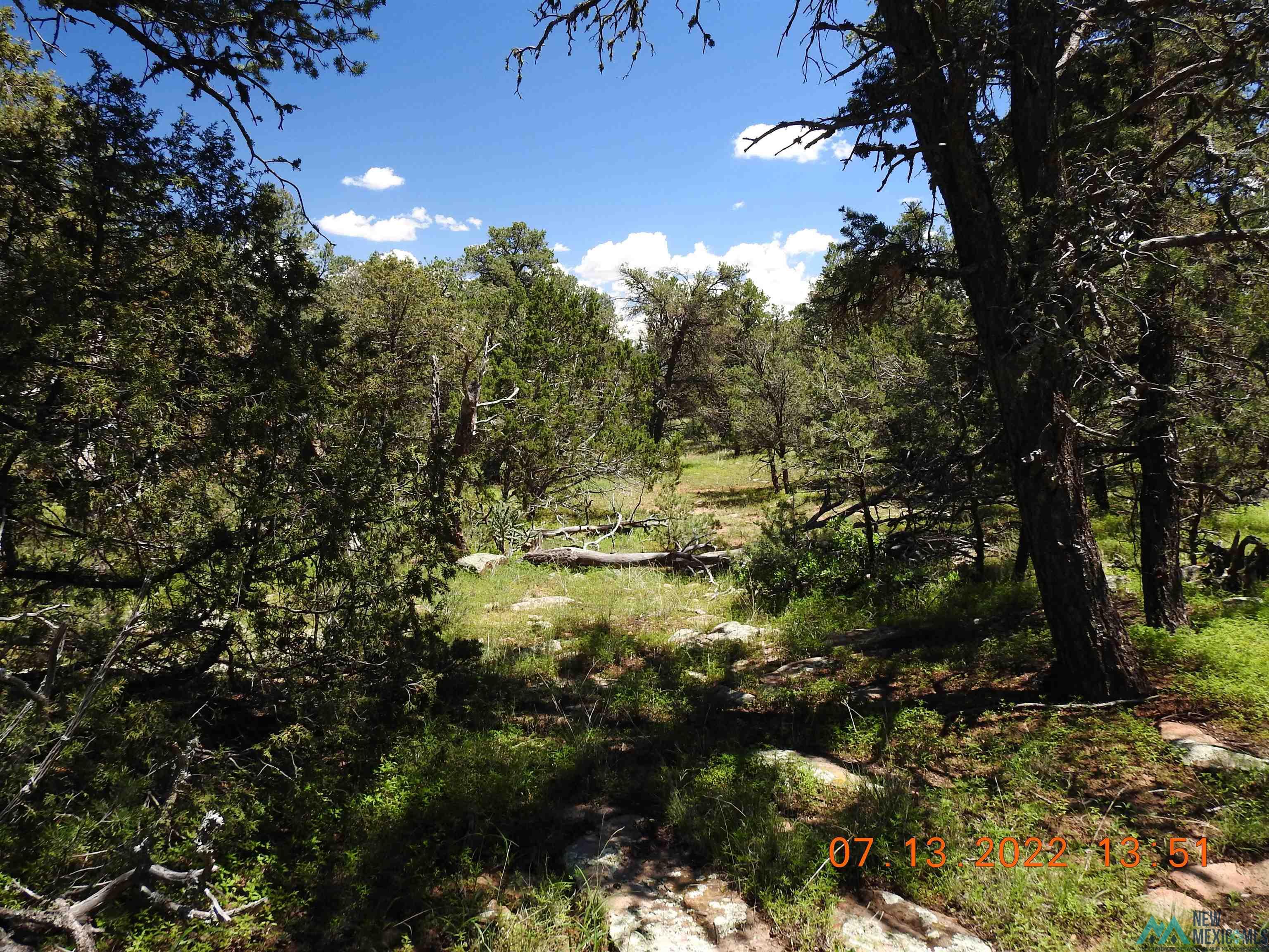 9 Tierra Del Dios, Rowe, New Mexico image 7