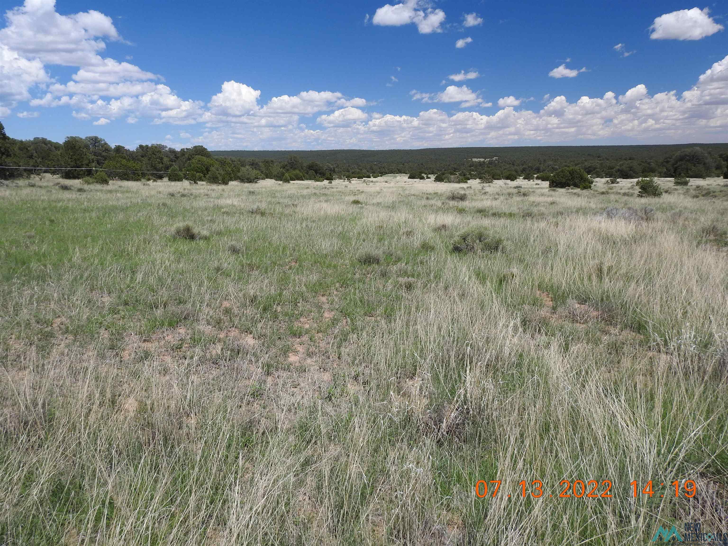 9 Tierra Del Dios, Rowe, New Mexico image 1